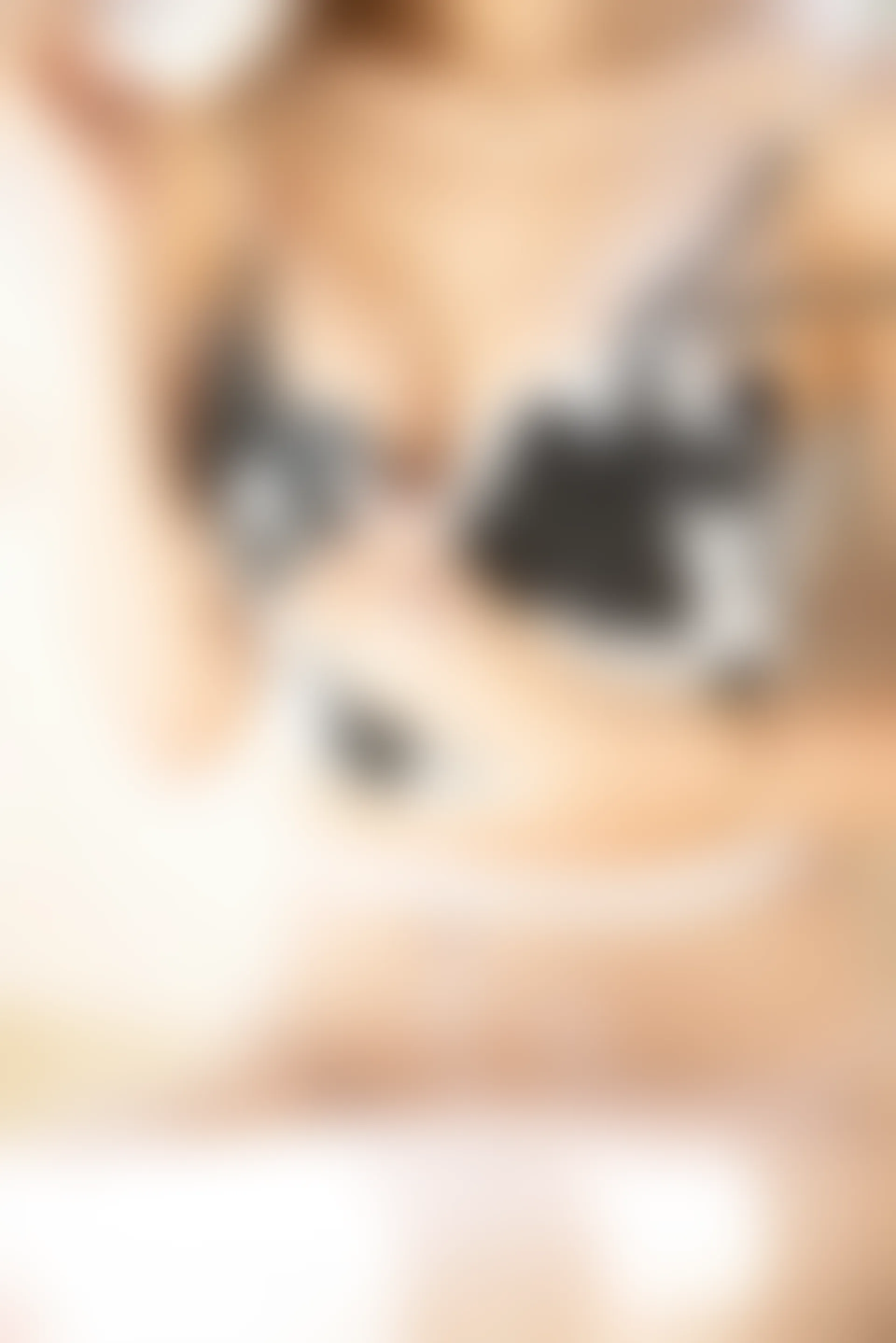 XiuRen秀人网 2021.12.21 No.4366 绮里嘉ula 御姐美腿[58+1P 560MB]