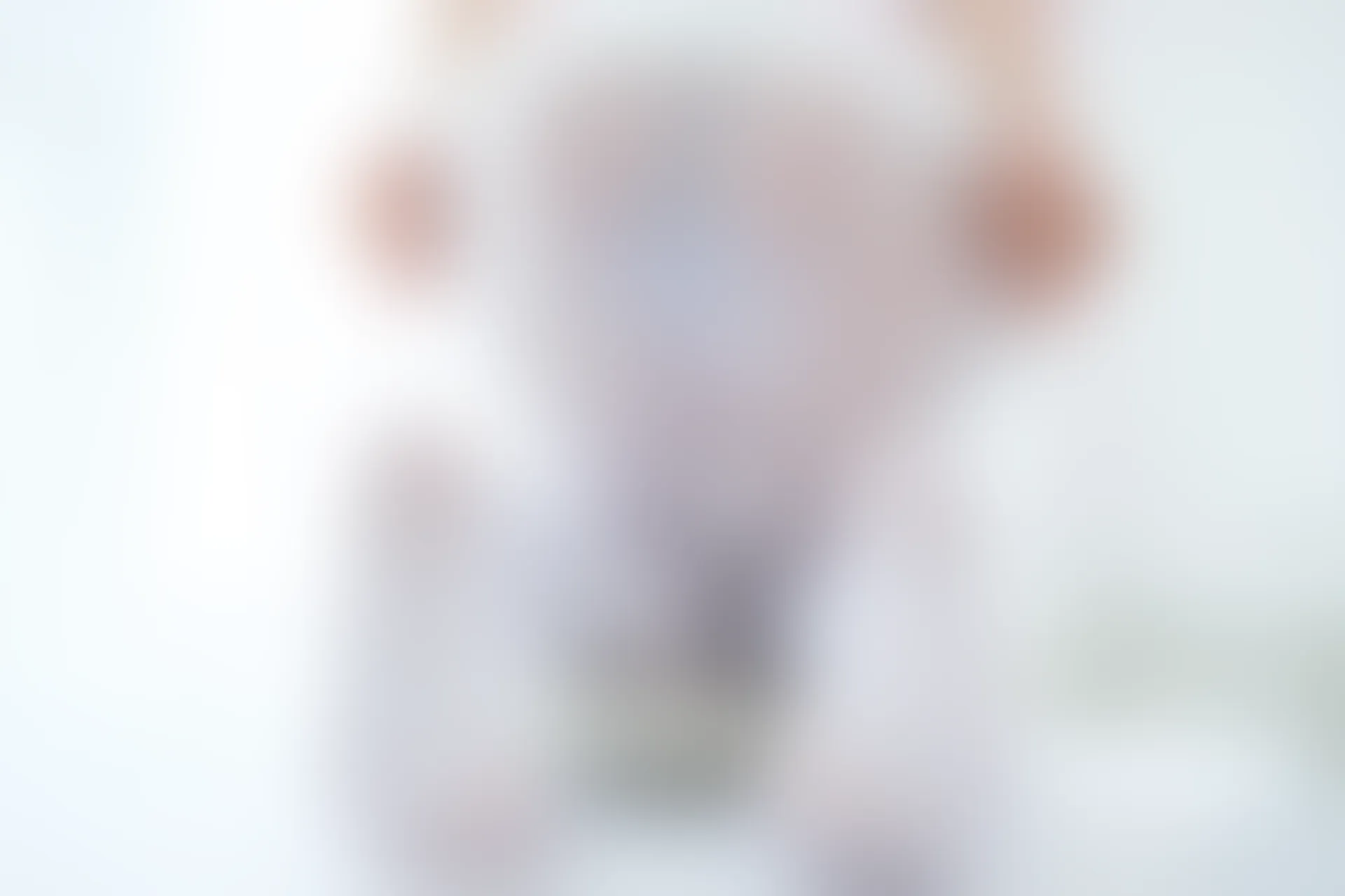 稚乖画册 赤西夜夜《Lolita》白丝双马尾 [29P-203MB]双马尾, 白丝, 稚乖画册, 美腿, 美足, 赤西夜夜