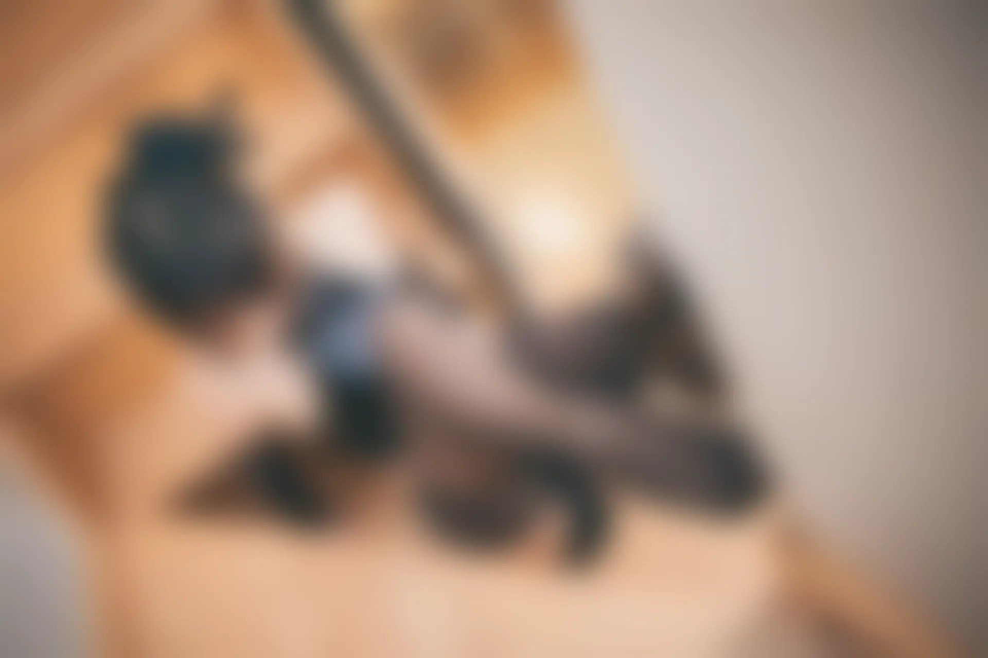 神楽坂真冬 第三季 序号12：《風と月》黑白旗袍 [150P2V-584MB]内衣, 旗袍, 白丝, 神楽坂真冬, 美腿, 美足, 高跟鞋, 黑丝