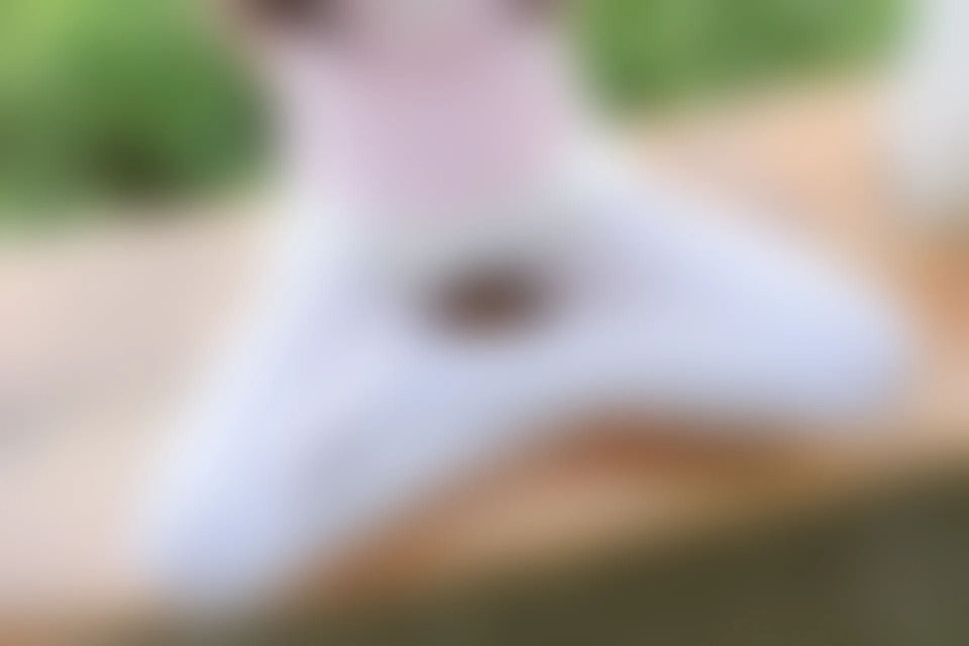 稚乖画册 晴空-08 赤西夜夜 户外80d白丝 双马尾短裙 [84P1V-2.9GB]双马尾, 可爱, 晴空, 白丝, 稚乖画册, 美腿, 美足, 赤西夜夜