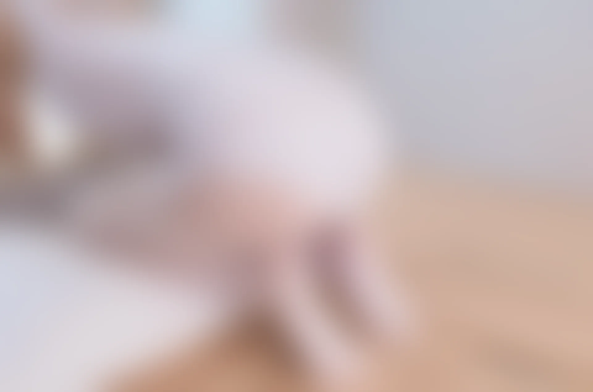 轻兰映画 Grand.016 白丝短发死裤水 [107P-633.1M]死裤水, 白丝, 短发, 美腿, 美足, 轻兰映画