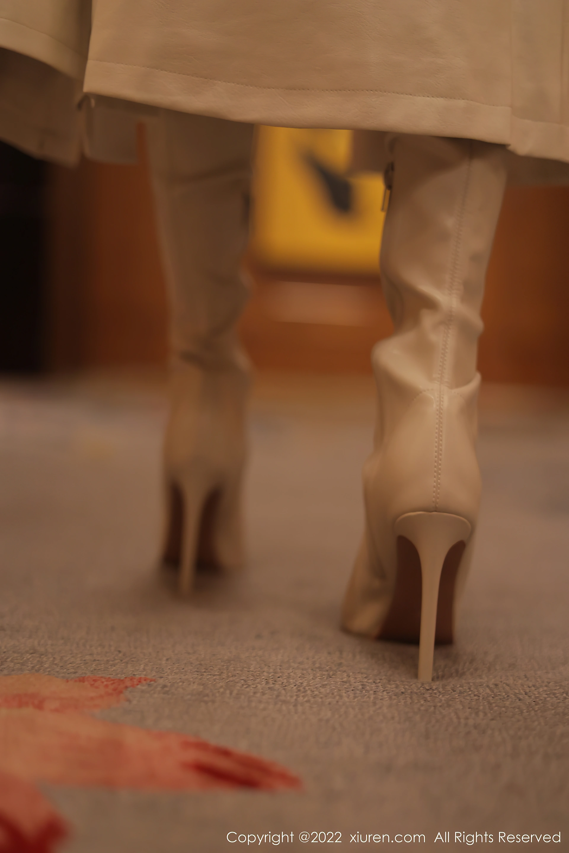 XiuRen秀人网 2022.01.21 No.4495 果儿Victoria 青海旅拍[65+1P 629MB]