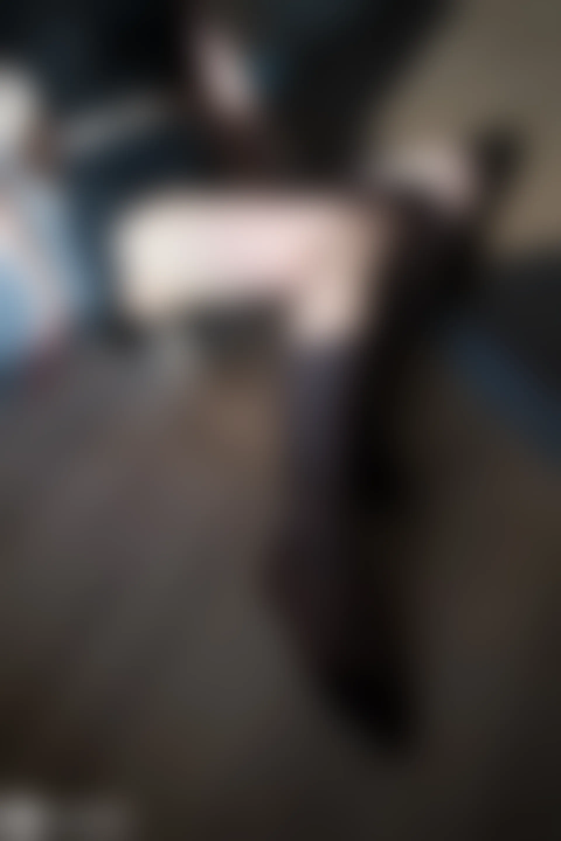 C29.006 阳光与网袜 [40P-92MB]