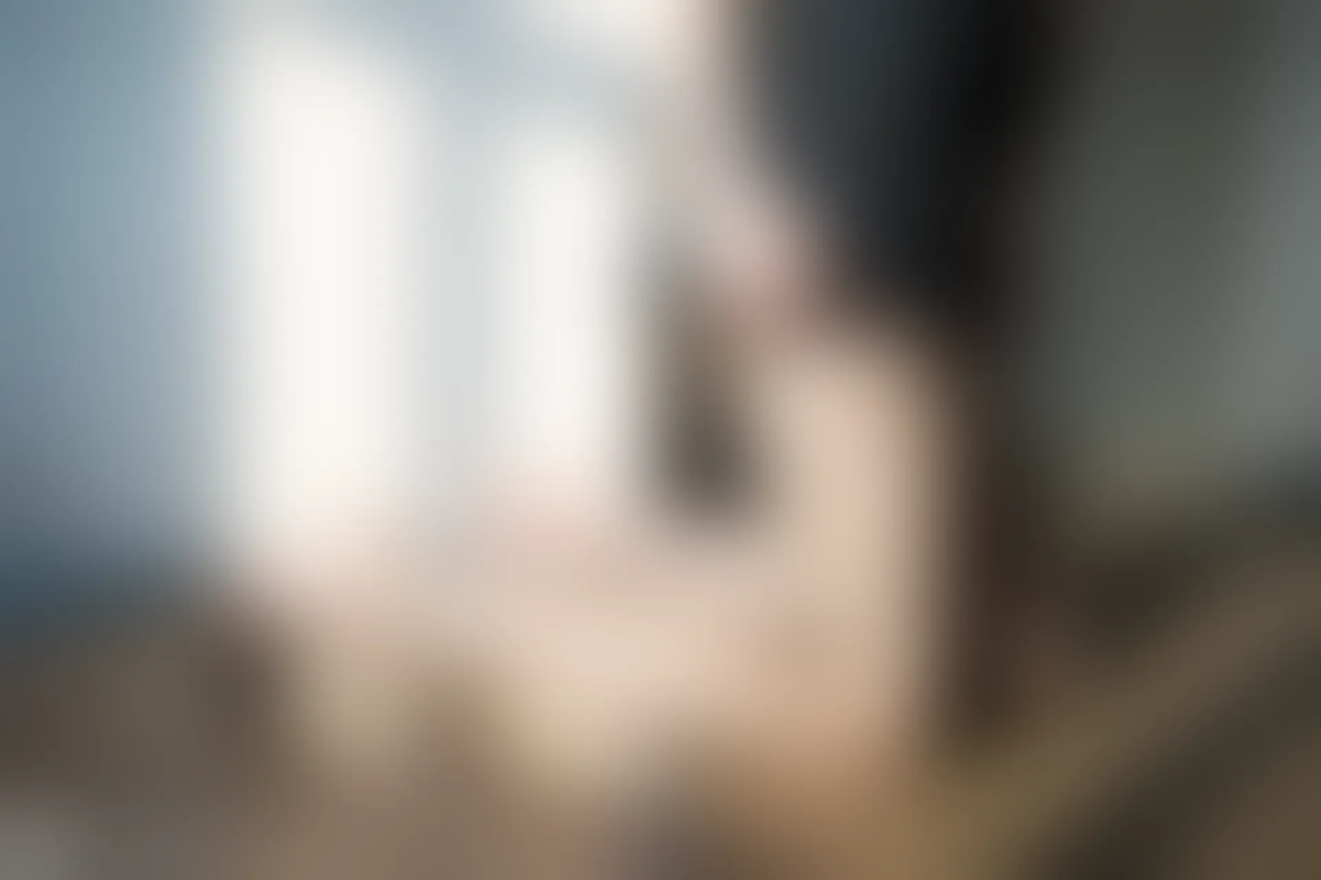 C29.006 阳光与网袜 [40P-92MB]