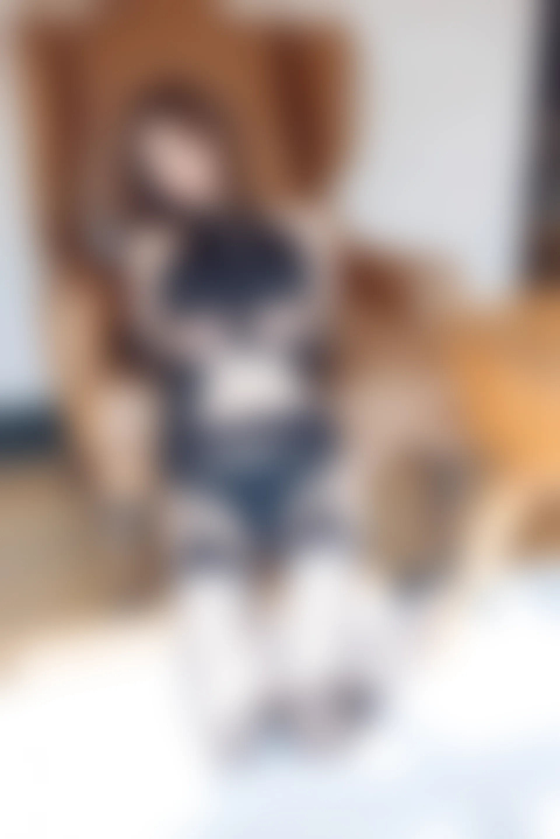 XiuRen秀人网 2021.11.05 No.4176 绮里嘉ula 黑丝美腿[55+1P 597MB]