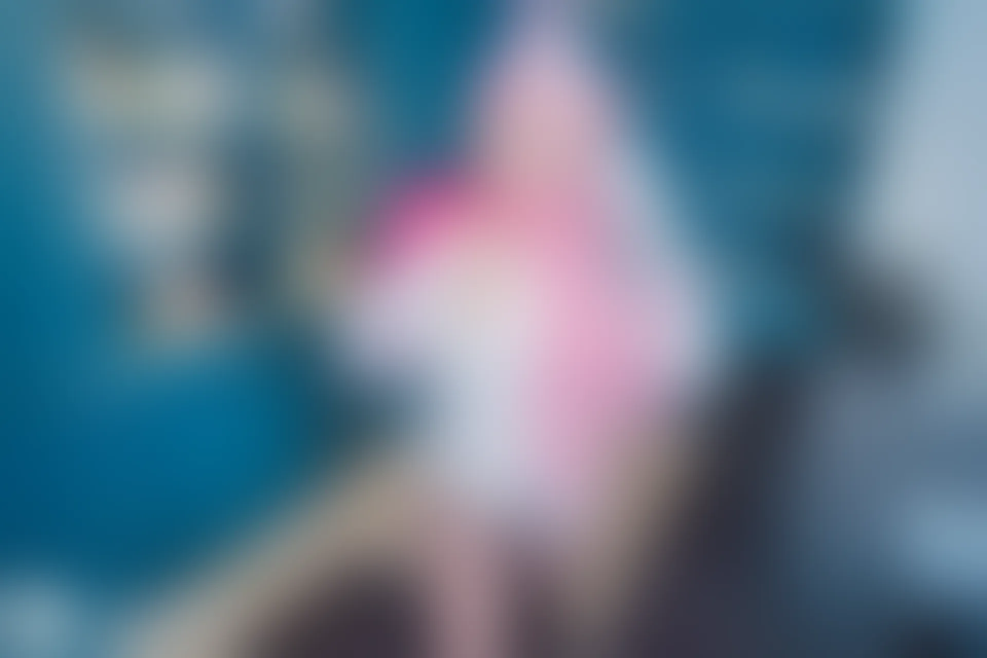 D55.004 秘书狐 [39P-503MB]