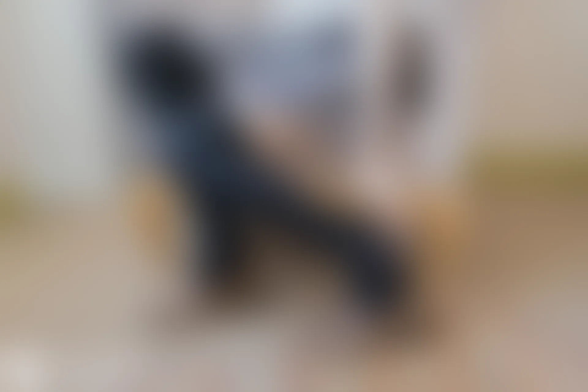 C31.005 黑桃 [40P-92MB]