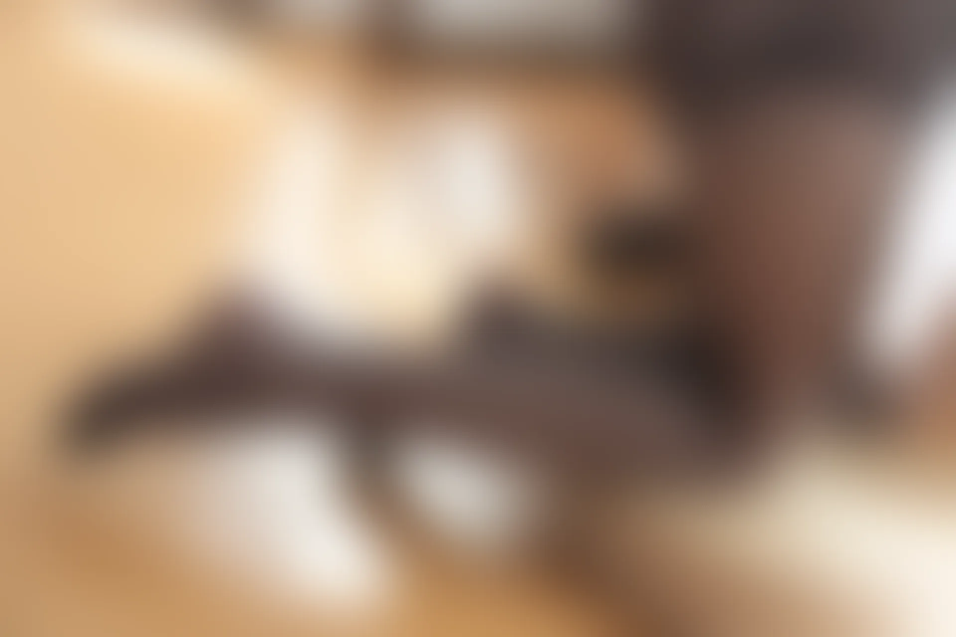 森萝财团 X-040 [102P1V-1.97G]制服, 森萝财团, 美腿, 黑丝