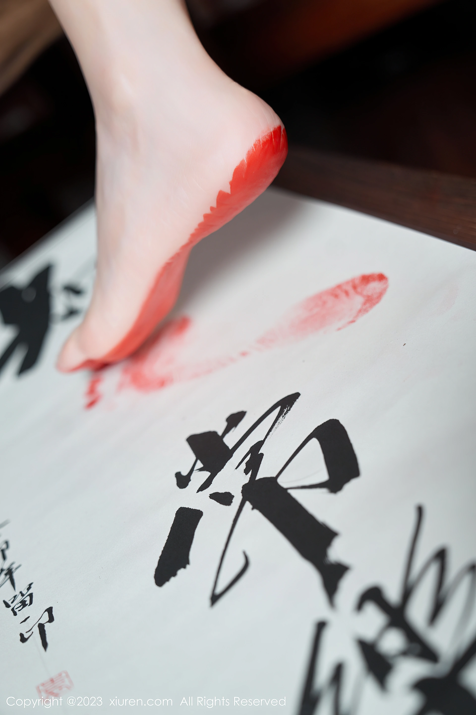 XIUREN秀人网 2023.12.29 NO.7891 周于希Sally[90+1P／871MB]