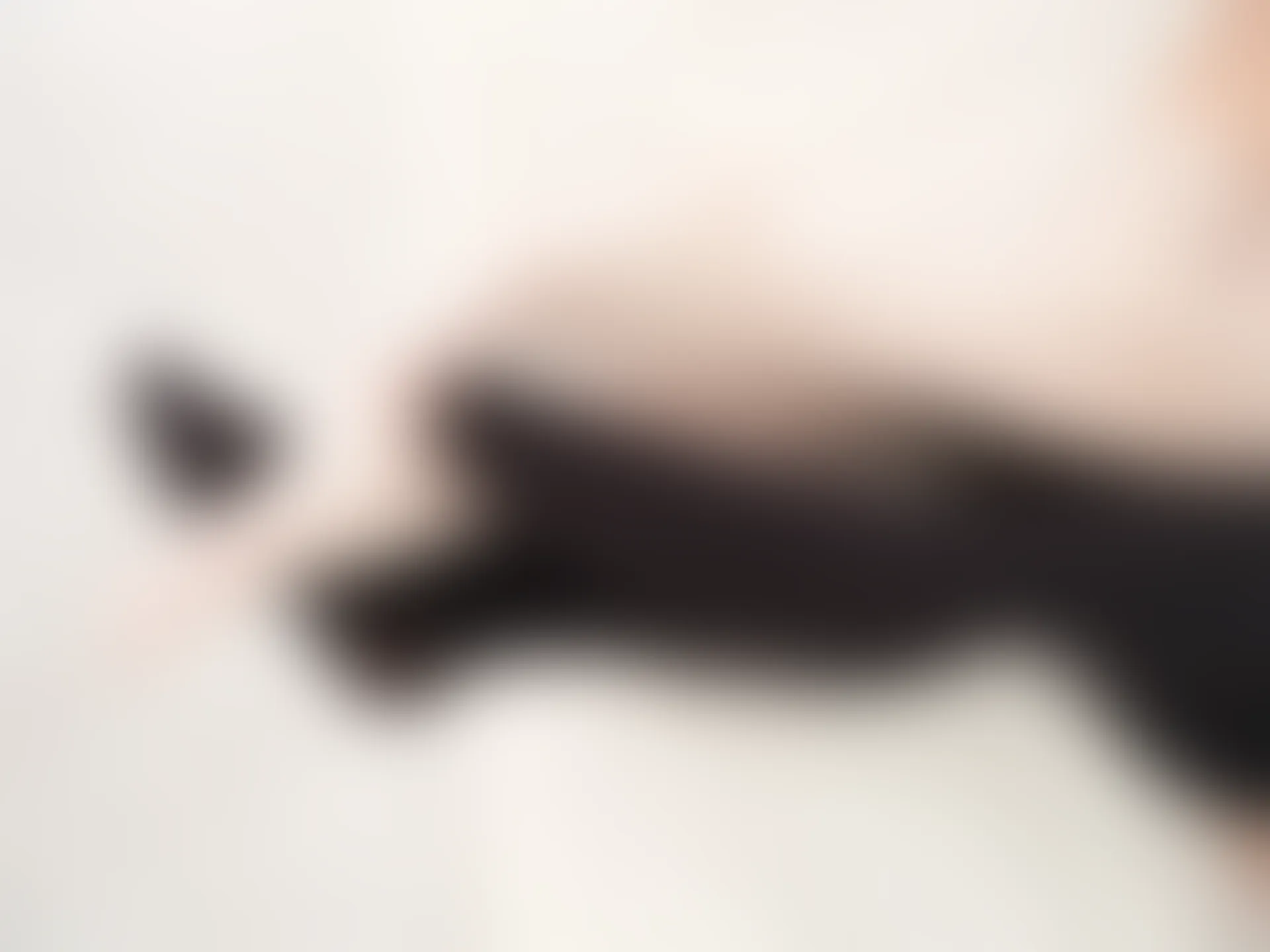 紧急企划 见希w 黑白护士 黑白姐妹花 [80P-704MB]内衣, 护士, 白丝, 紧急企划, 美腿, 美足, 见希w, 黑丝