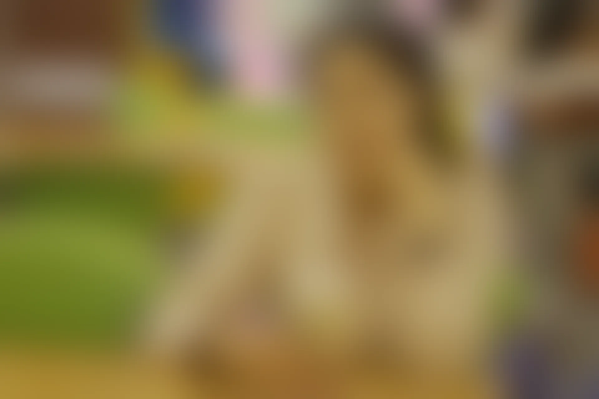 初夏女神 NO.077 双双 偶遇学姐 周末逛商场[120P+1V／6.90GB]