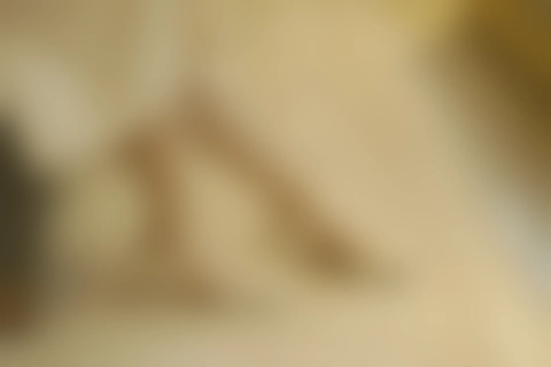 初夏女神 NO.077 双双 偶遇学姐 周末逛商场[120P+1V／6.90GB]