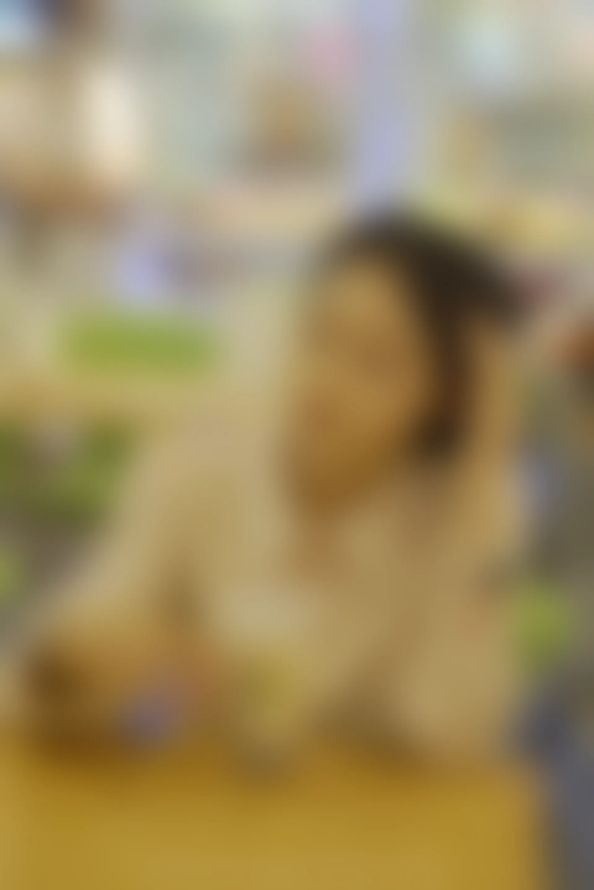 初夏女神 NO.077 双双 偶遇学姐 周末逛商场[120P+1V／6.90GB]