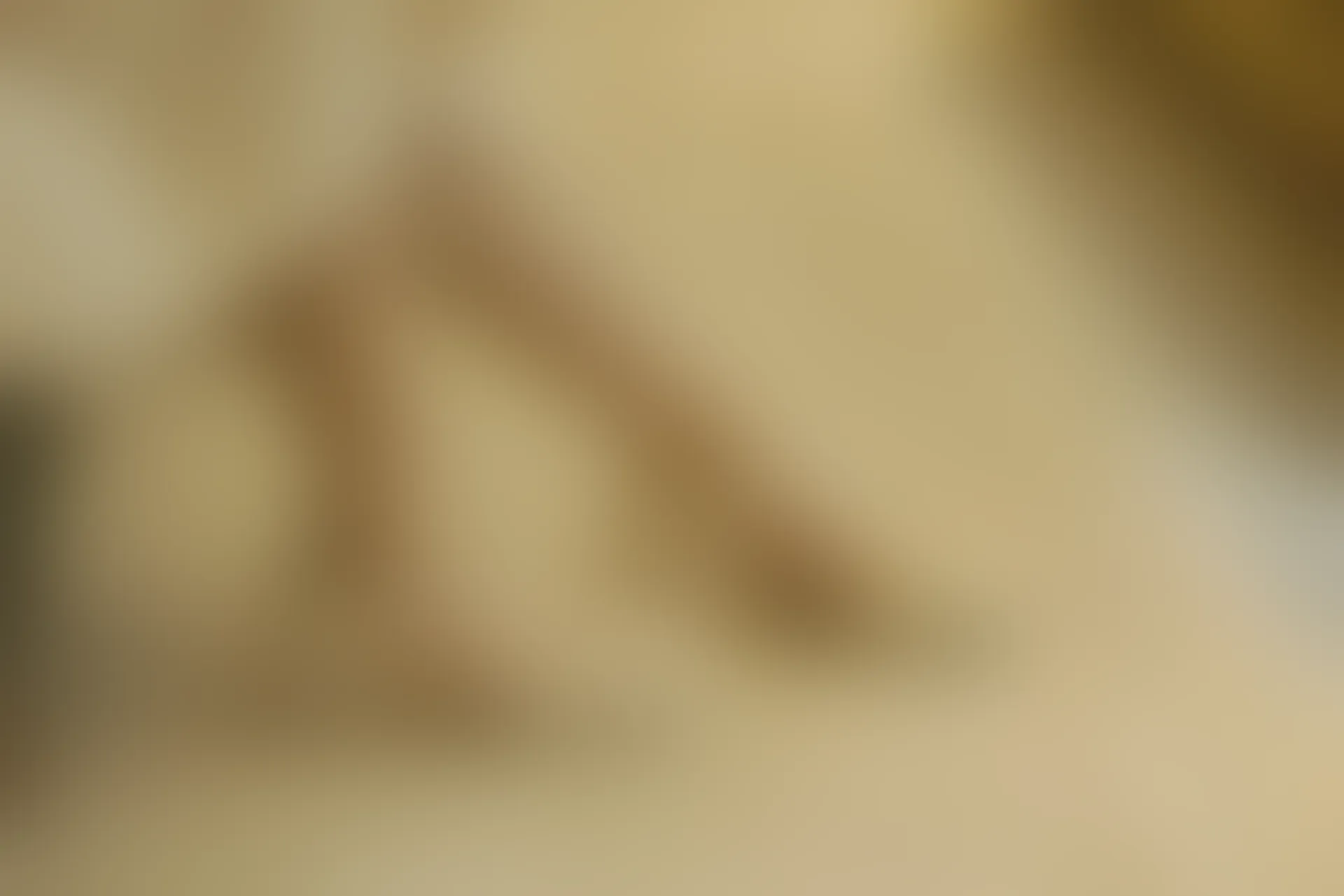 初夏女神 NO.077 双双 偶遇学姐 周末逛商场[120P+1V／6.90GB]