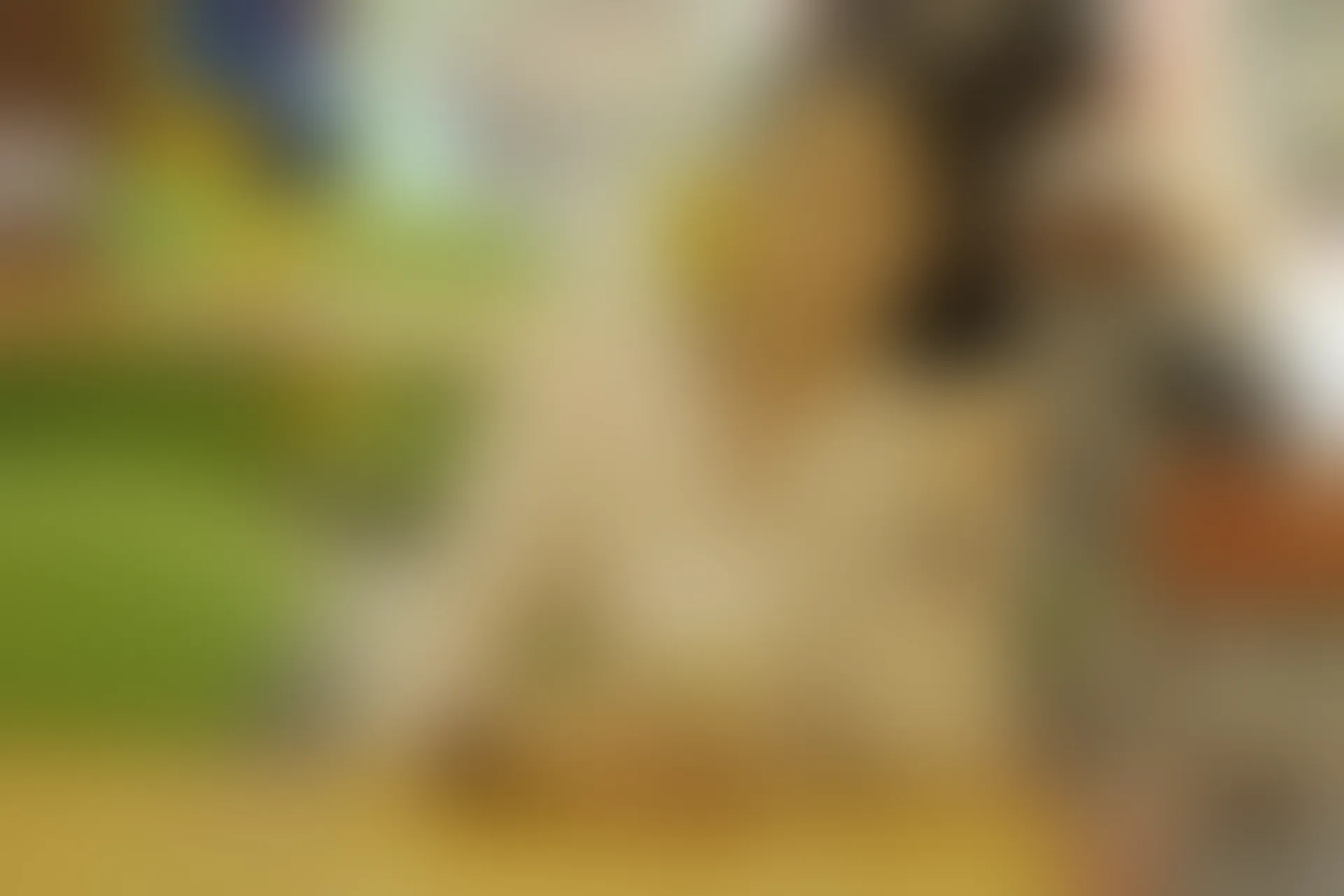 初夏女神 NO.077 双双 偶遇学姐 周末逛商场[120P+1V／6.90GB]