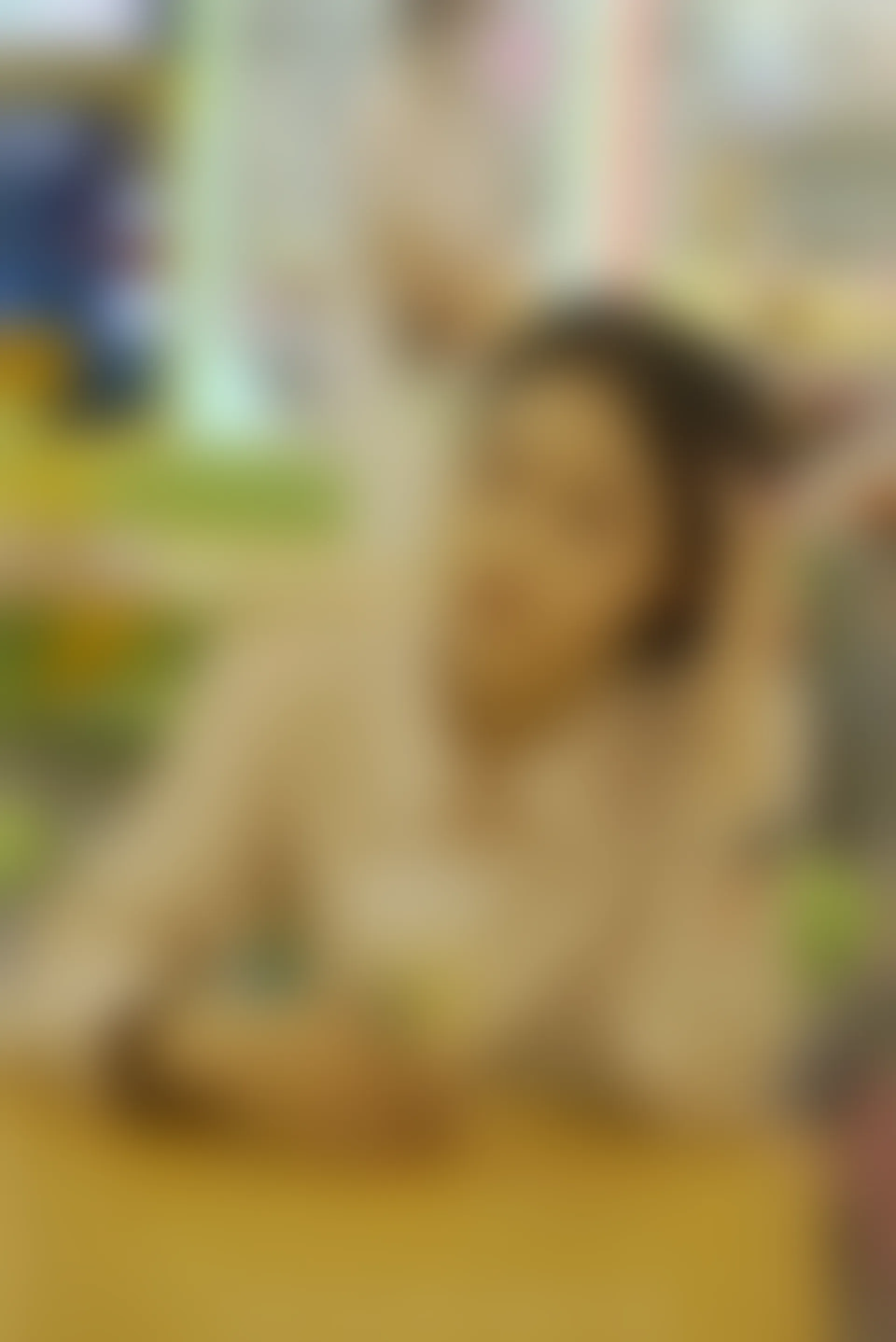 初夏女神 NO.077 双双 偶遇学姐 周末逛商场[120P+1V／6.90GB]