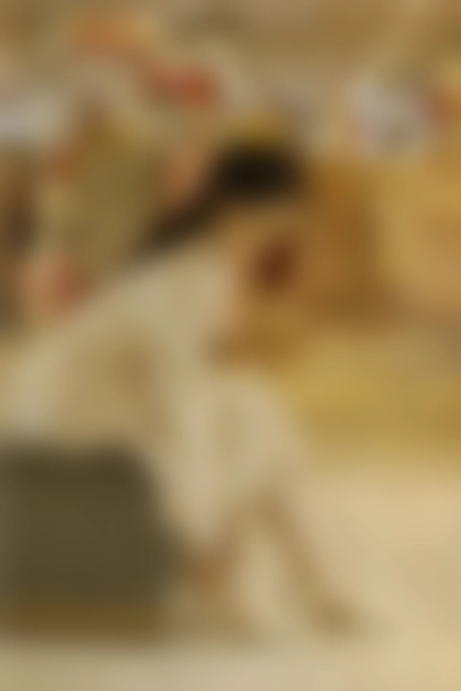 初夏女神 NO.077 双双 偶遇学姐 周末逛商场[120P+1V／6.90GB]