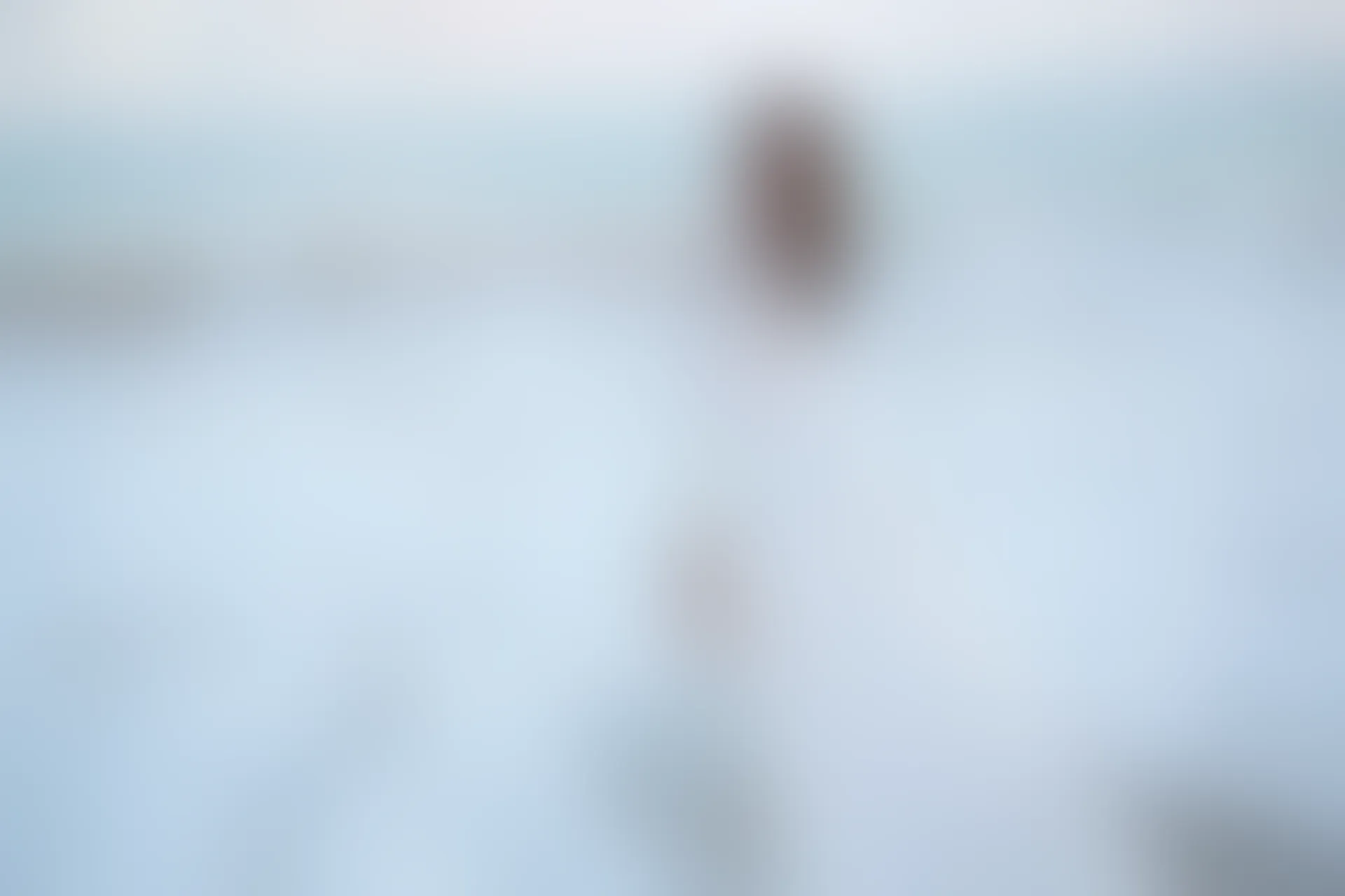 XiuRen秀人网 2014.06.27 No.165 Vetiver嘉宝贝儿 [36+1P102M]