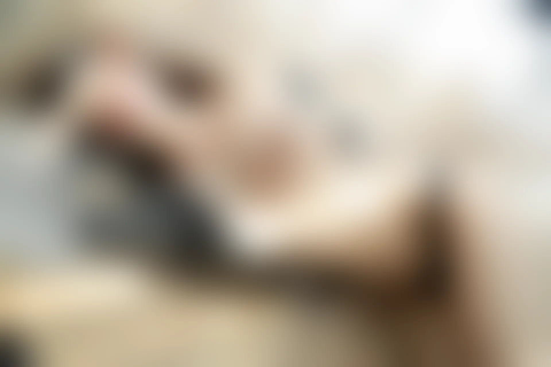 XiuRen秀人网 2019.09.26 No.1698 YUNDUOER_ [54+1P]