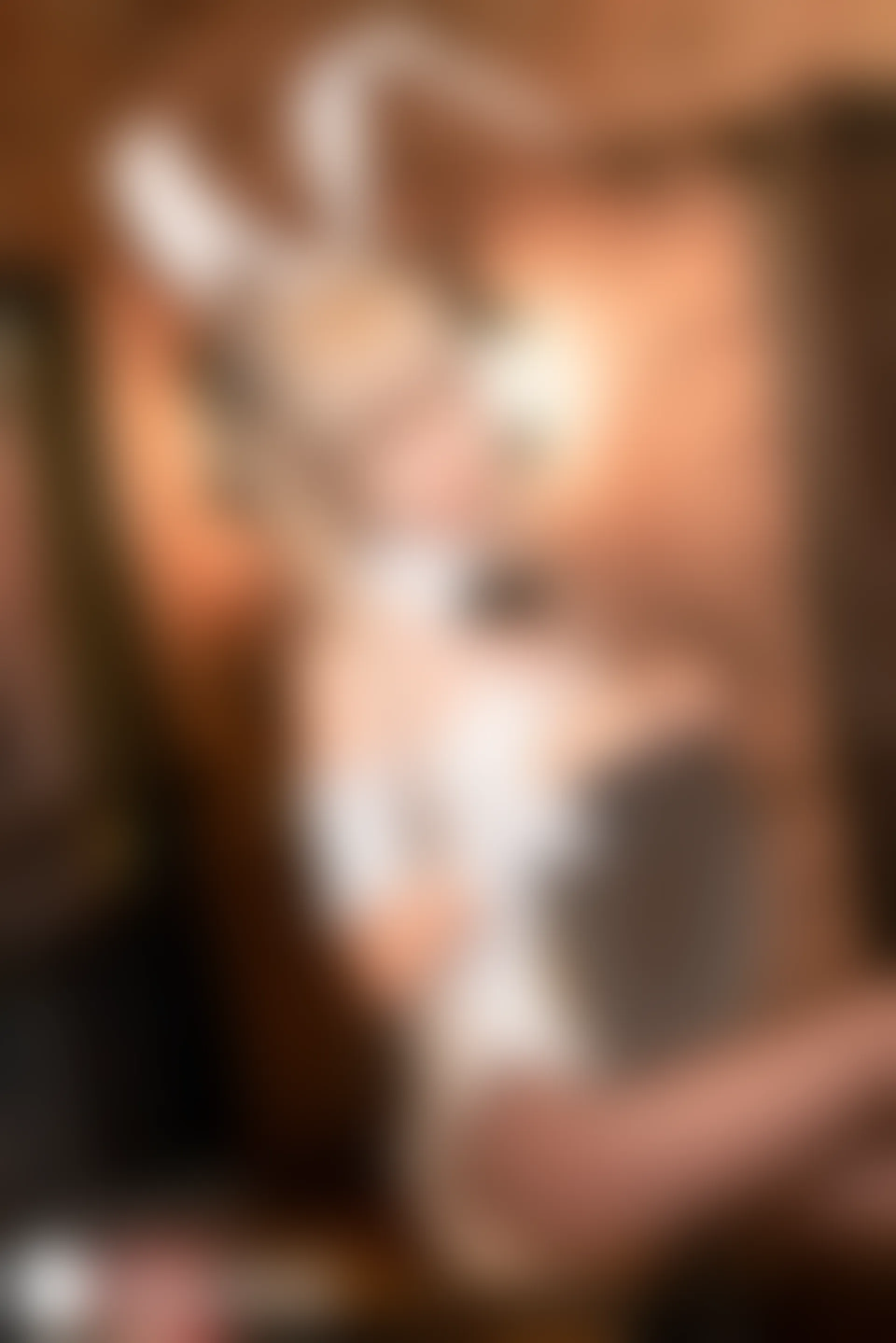 兔玩映画 兔女郎 Vol.052 妹妹 [40P-732MB]