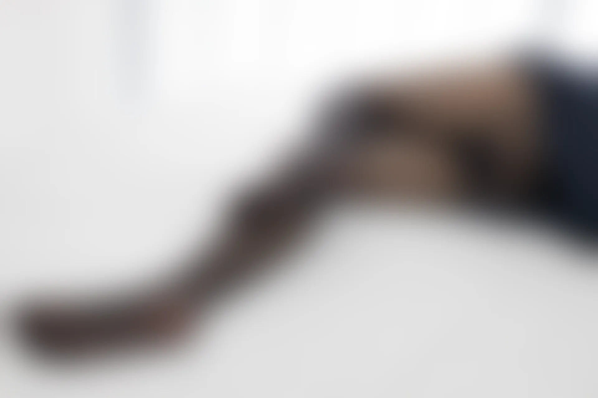 紧急企划 内部-001 一只喵喵梓 黑丝JK制服 [105P-0.97GB]JK制服, 一只喵喵梓, 紧急企划, 美腿, 美足, 黑丝