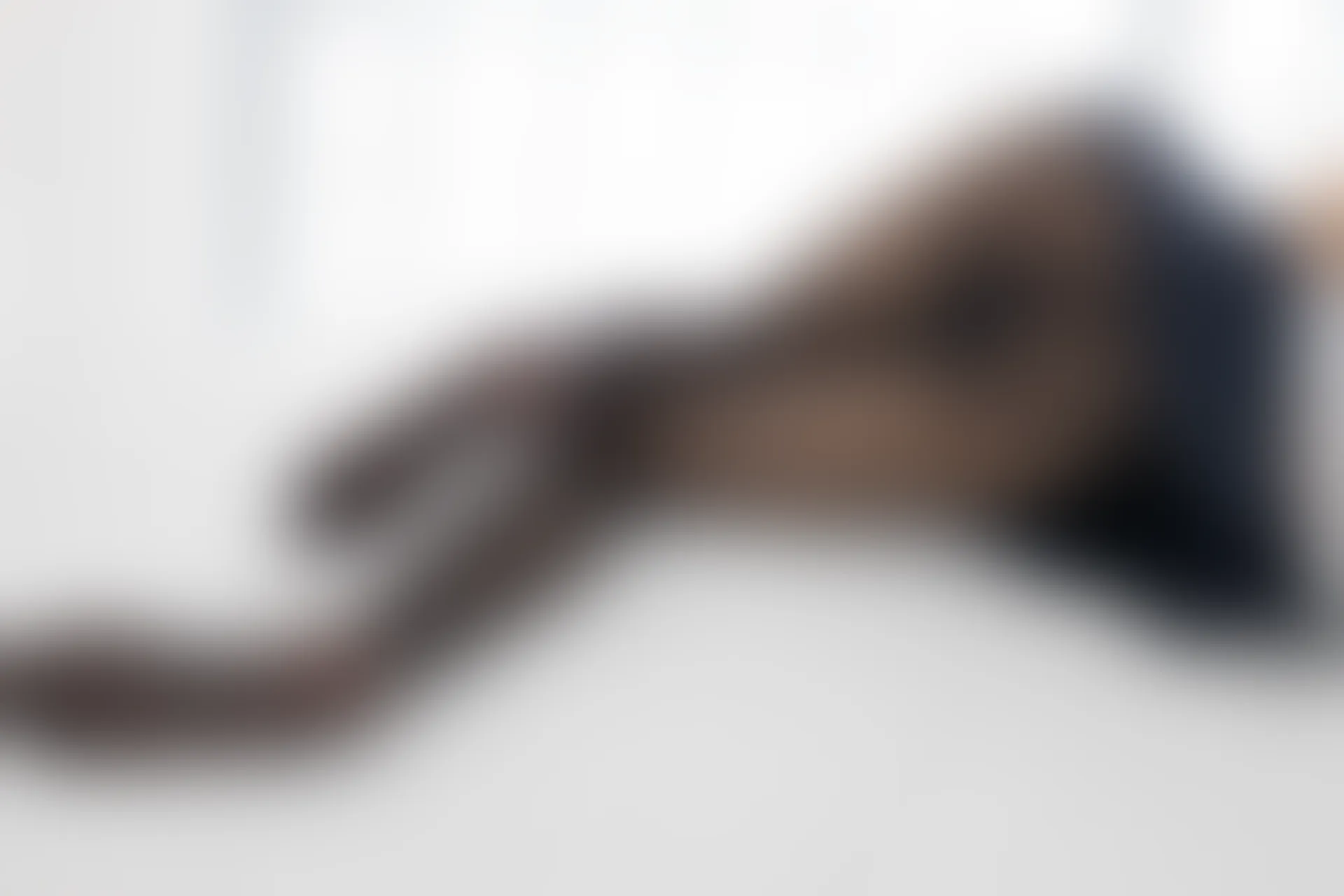 紧急企划 内部-001 一只喵喵梓 黑丝JK制服 [105P-0.97GB]JK制服, 一只喵喵梓, 紧急企划, 美腿, 美足, 黑丝