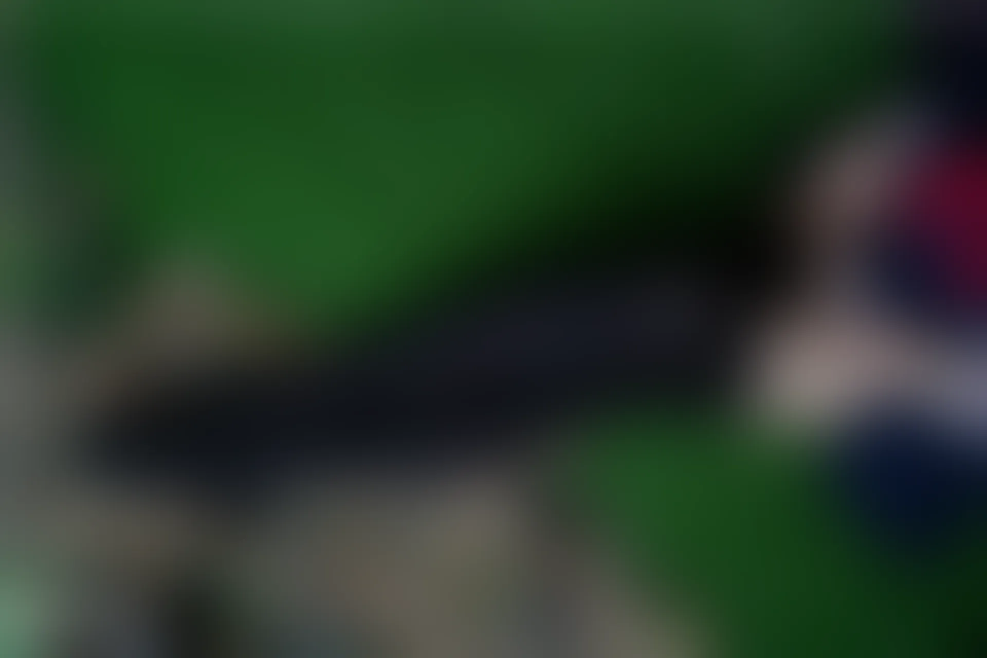C01.005 黑色魅惑 [40P-175MB]