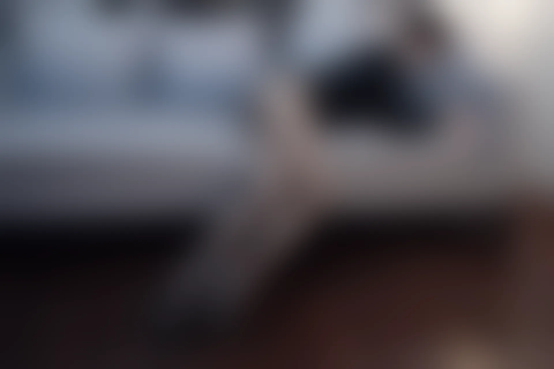 XiuRen秀人网 2021.10.19 No.4080 Arude薇薇[70+1P／772MB]