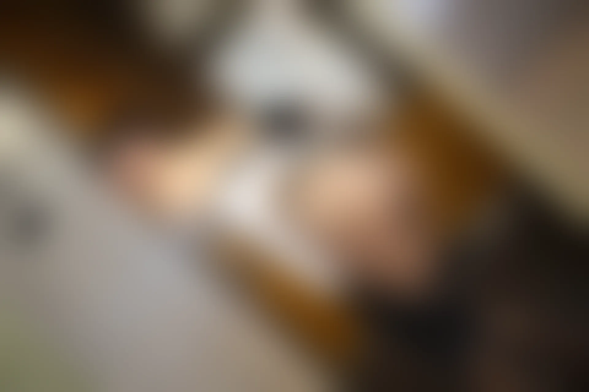 XIUREN秀人网 2019.12.20 NO.1870 就是阿朱啊[73+1P／119M]