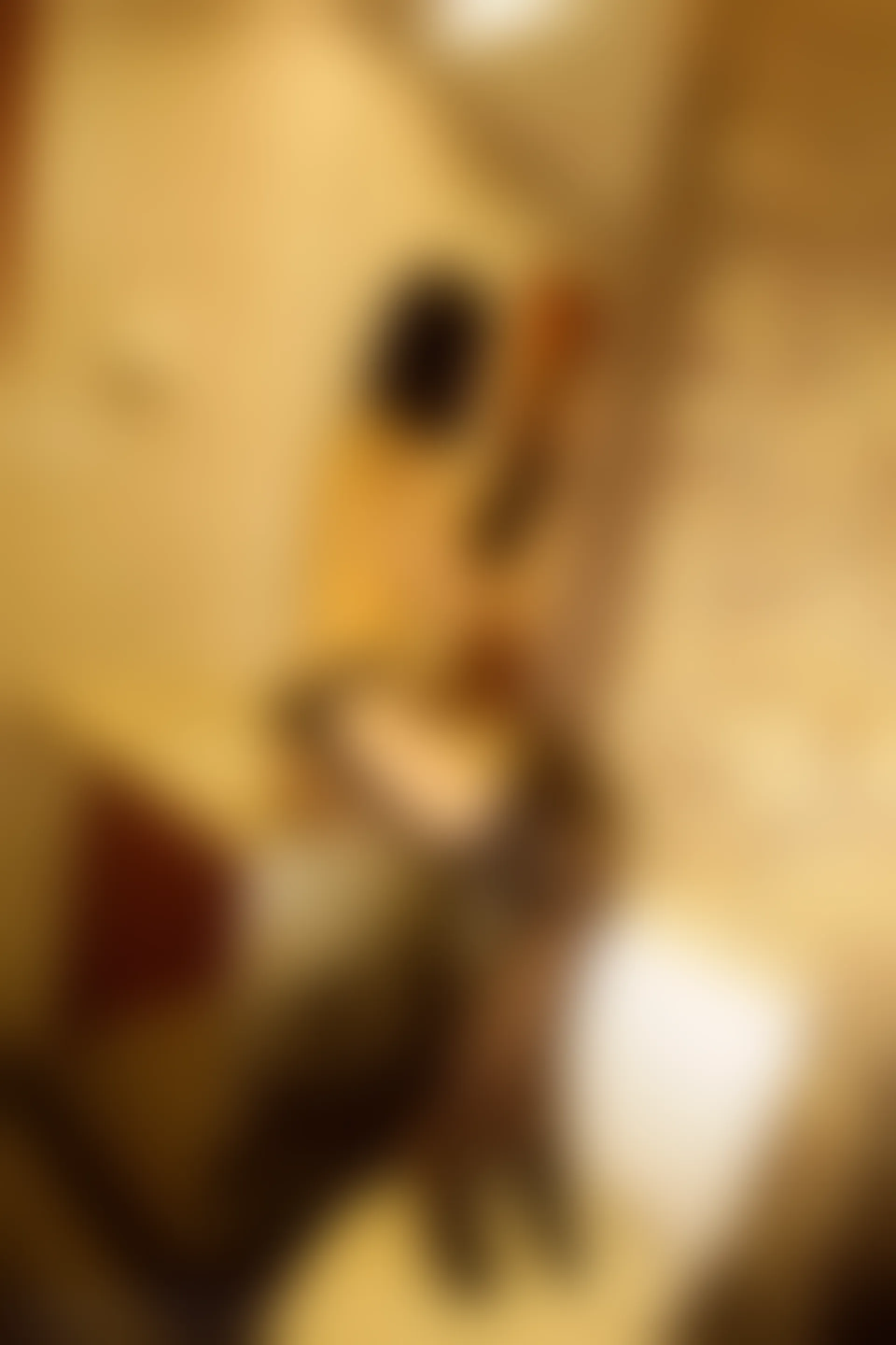 XiuRen秀人网 2013.11.18 No.050 太阳花Mandy
