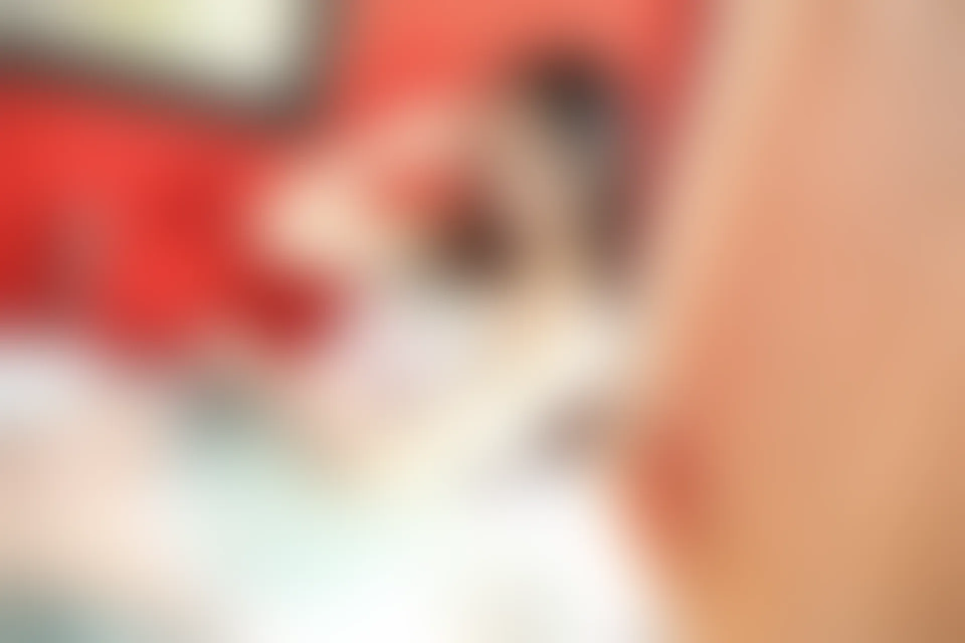 XiuRen秀人网 2015.06.24 No.343 Jennifer小若[66+1P224M]