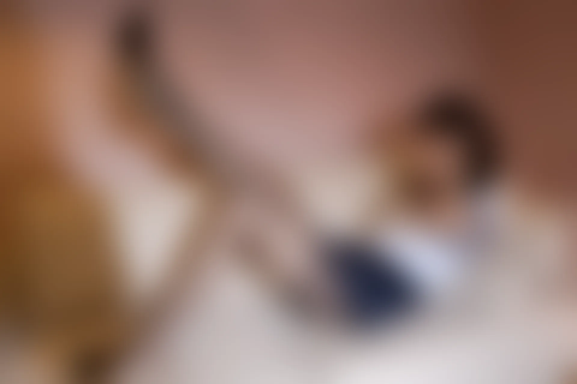 稚乖画册 赤西夜夜《露颜》双马尾黑丝JK制服 [86P1V-1.74GB]JK制服, 双马尾, 稚乖画册, 美腿, 美足, 赤西夜夜, 黑丝