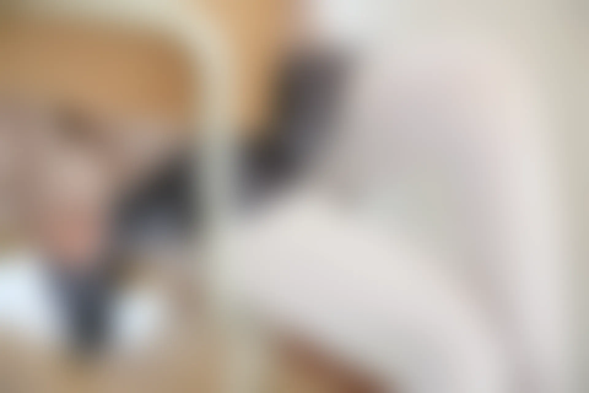 森萝财团 X-002 [105P1V-1.48G]美腿, 肉丝