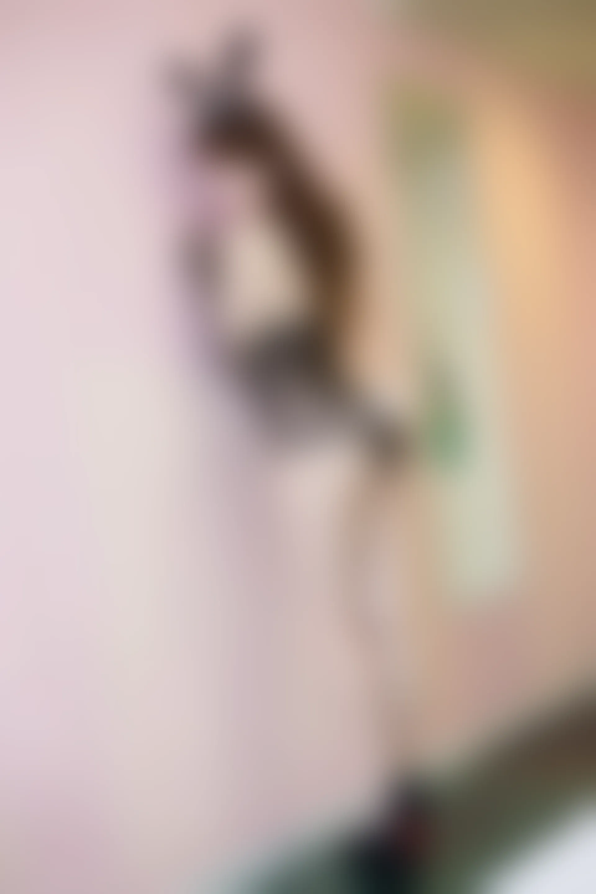 XiuRen秀人网 2015.08.25 No.385 妮婉Belinda [70P+1P197MB]