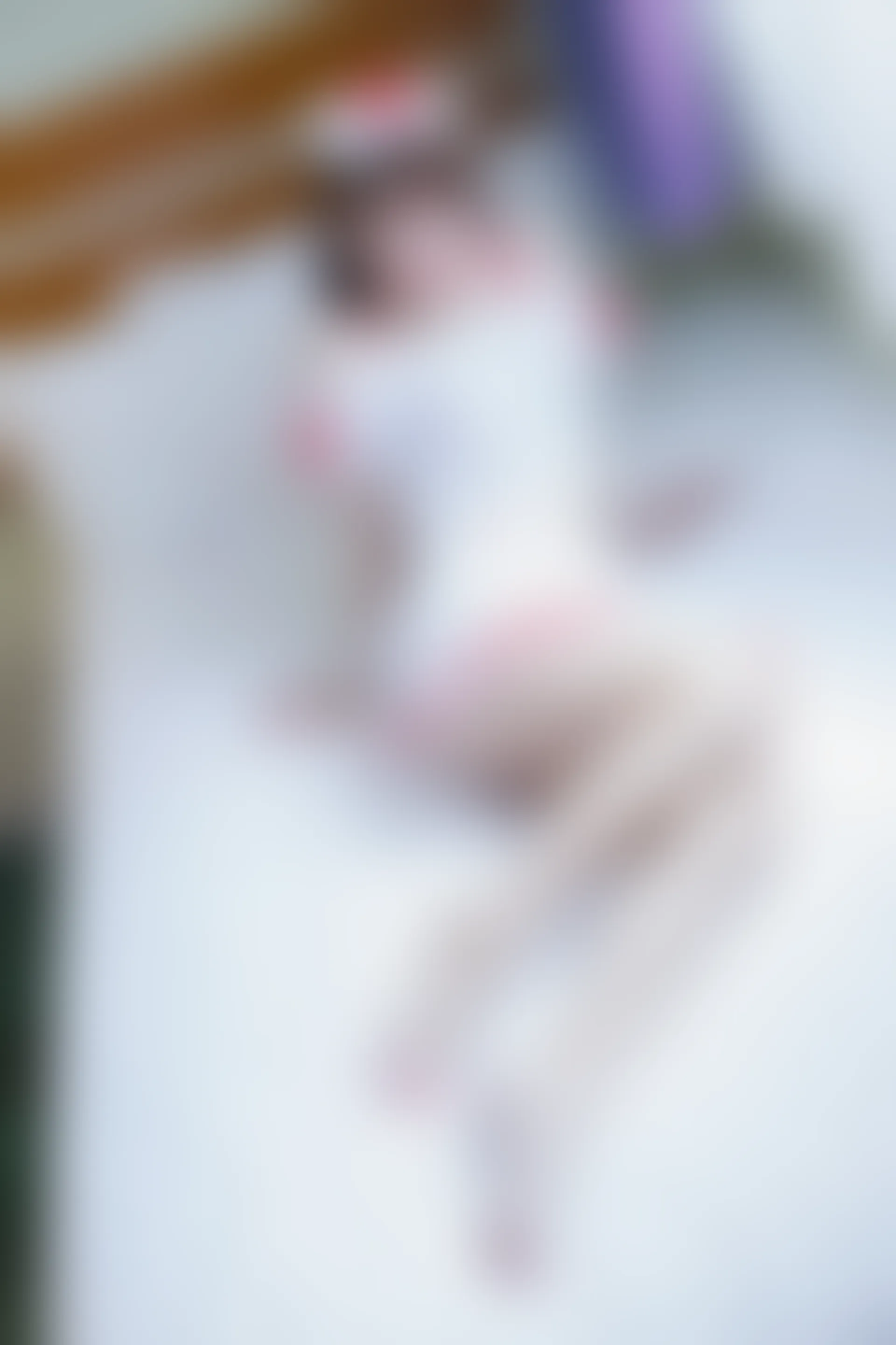 XiuRen秀人网 2015.08.25 No.385 妮婉Belinda [70P+1P197MB]