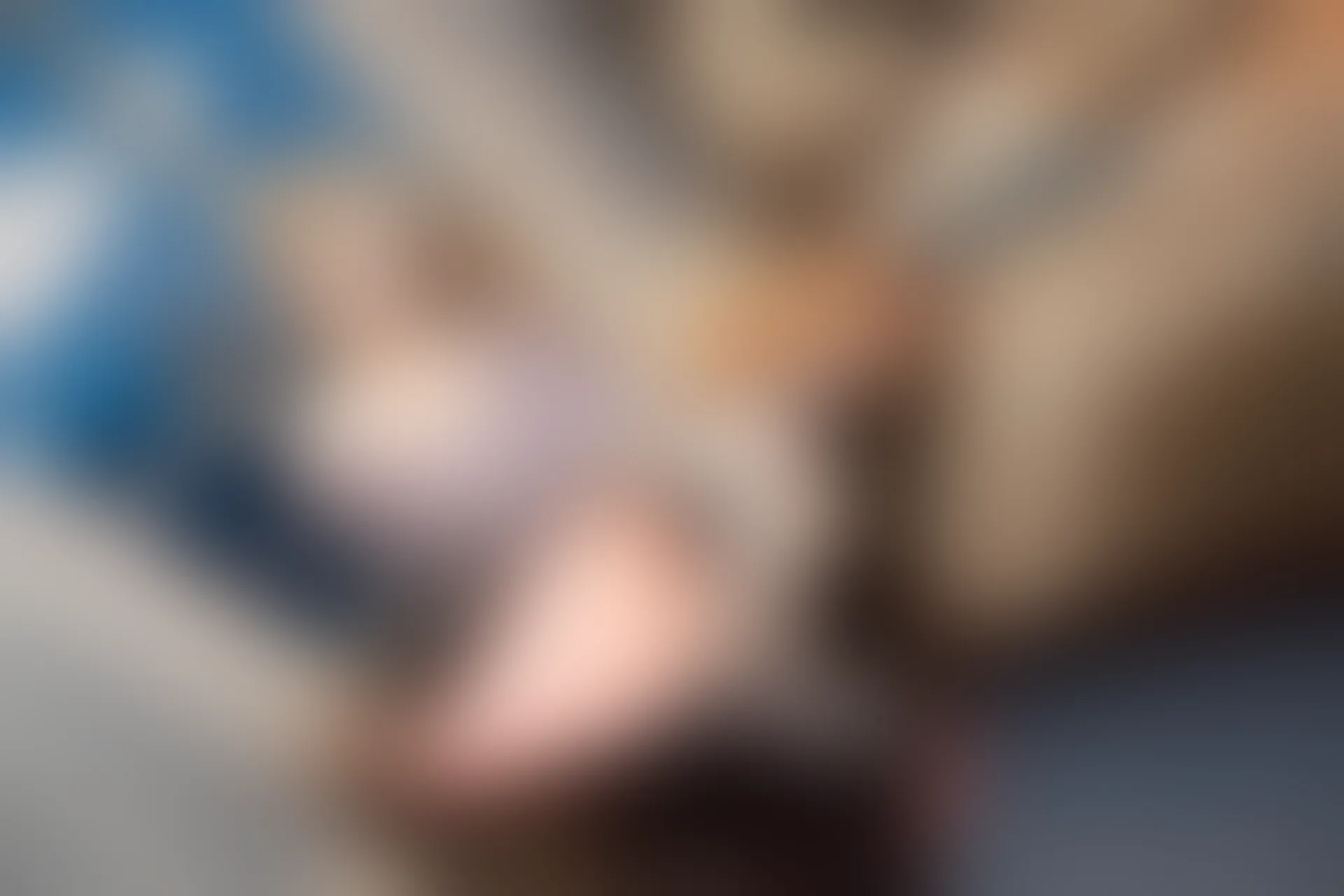 XIUREN秀人网 2023.09.07 NO.7353 沈青黛[92+1P／865MB]