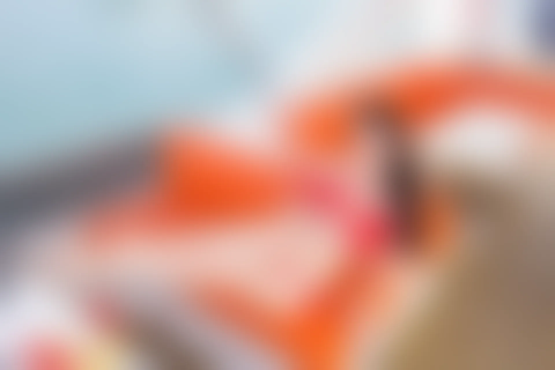 XIUREN秀人网 2023.12.28 NO.7881 诗诗kiki[81+1P／688MB]