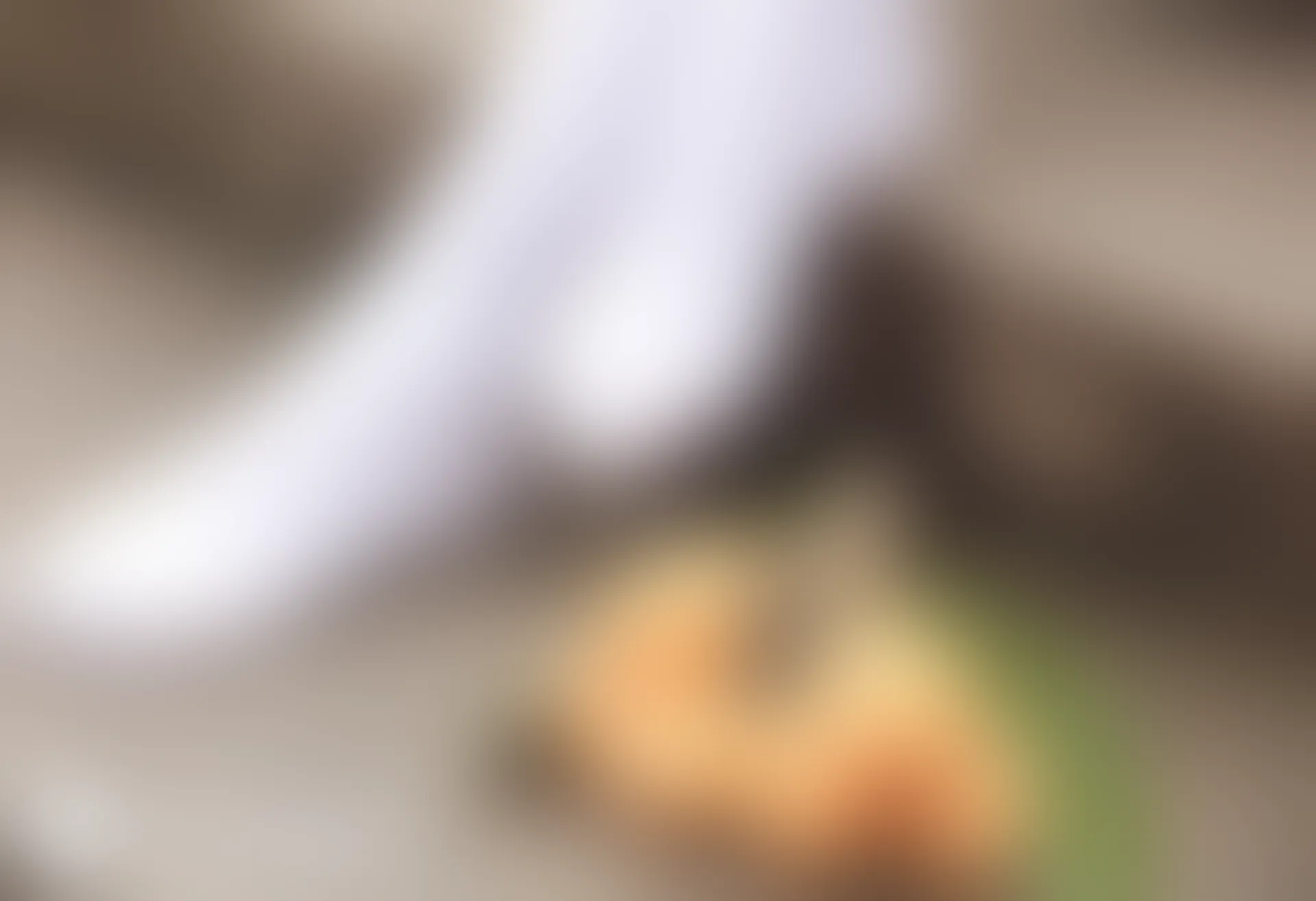 D52.006 枇杷和白丝 [44P-237MB]