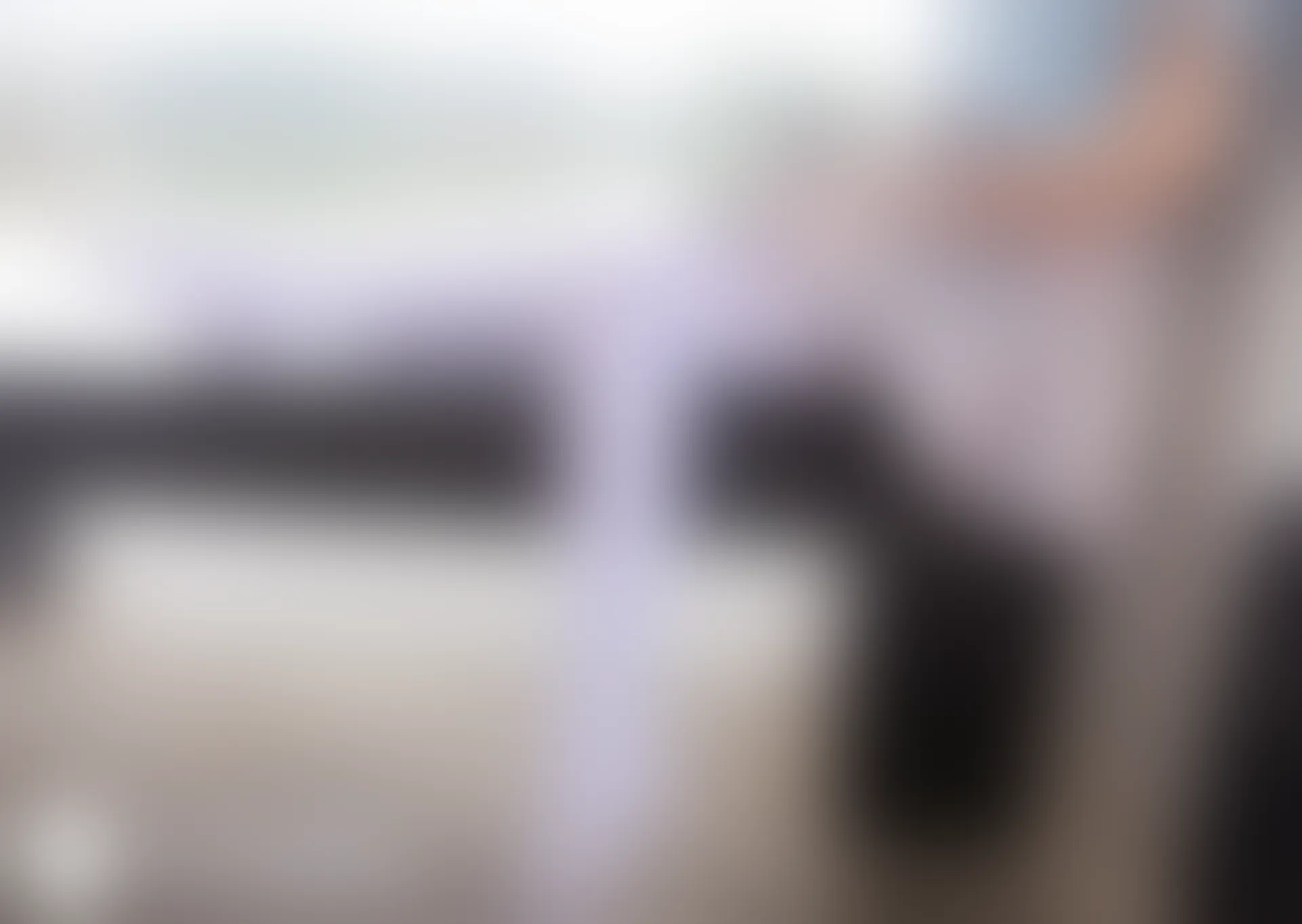 D52.006 枇杷和白丝 [44P-237MB]