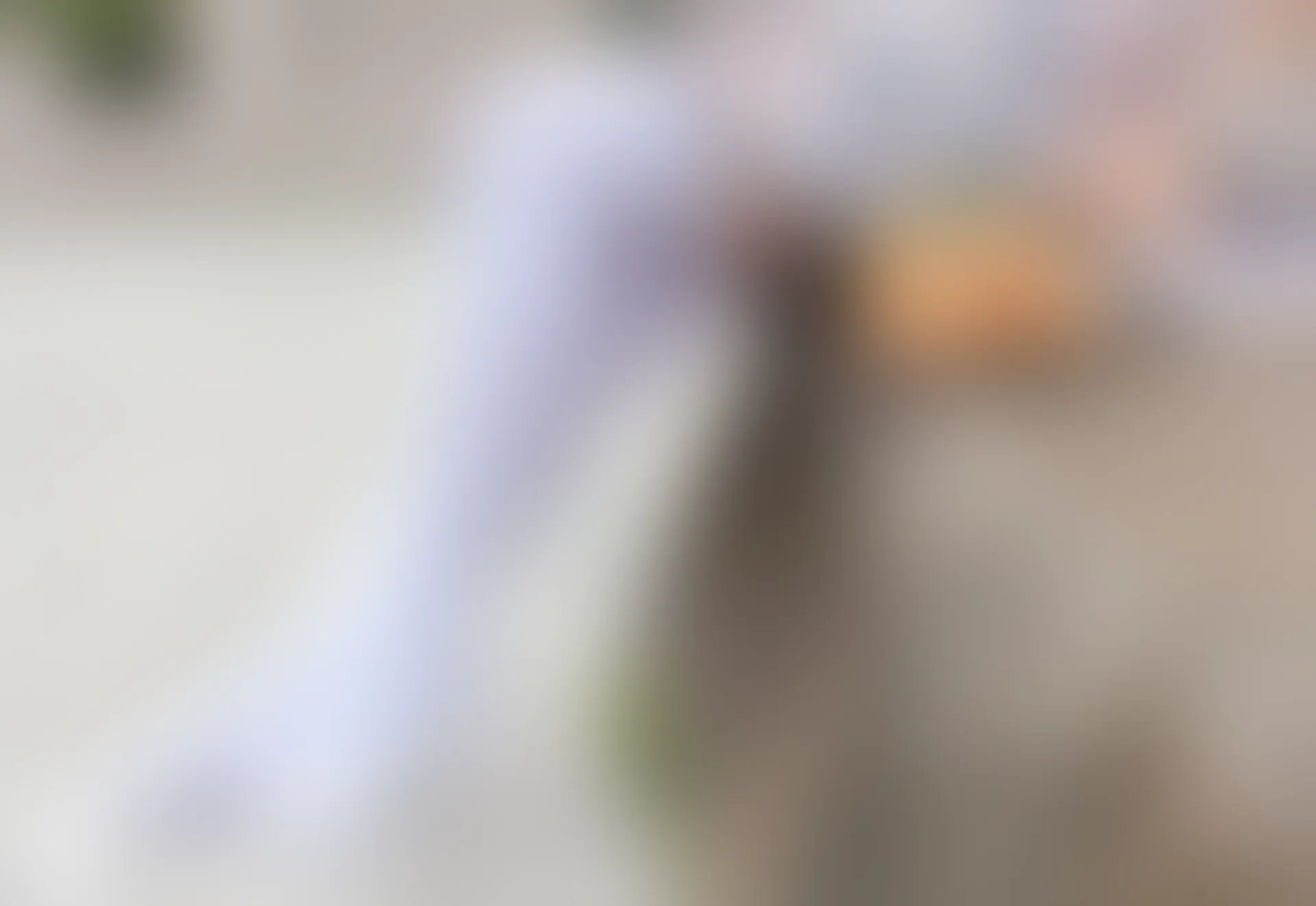 D52.006 枇杷和白丝 [44P-237MB]