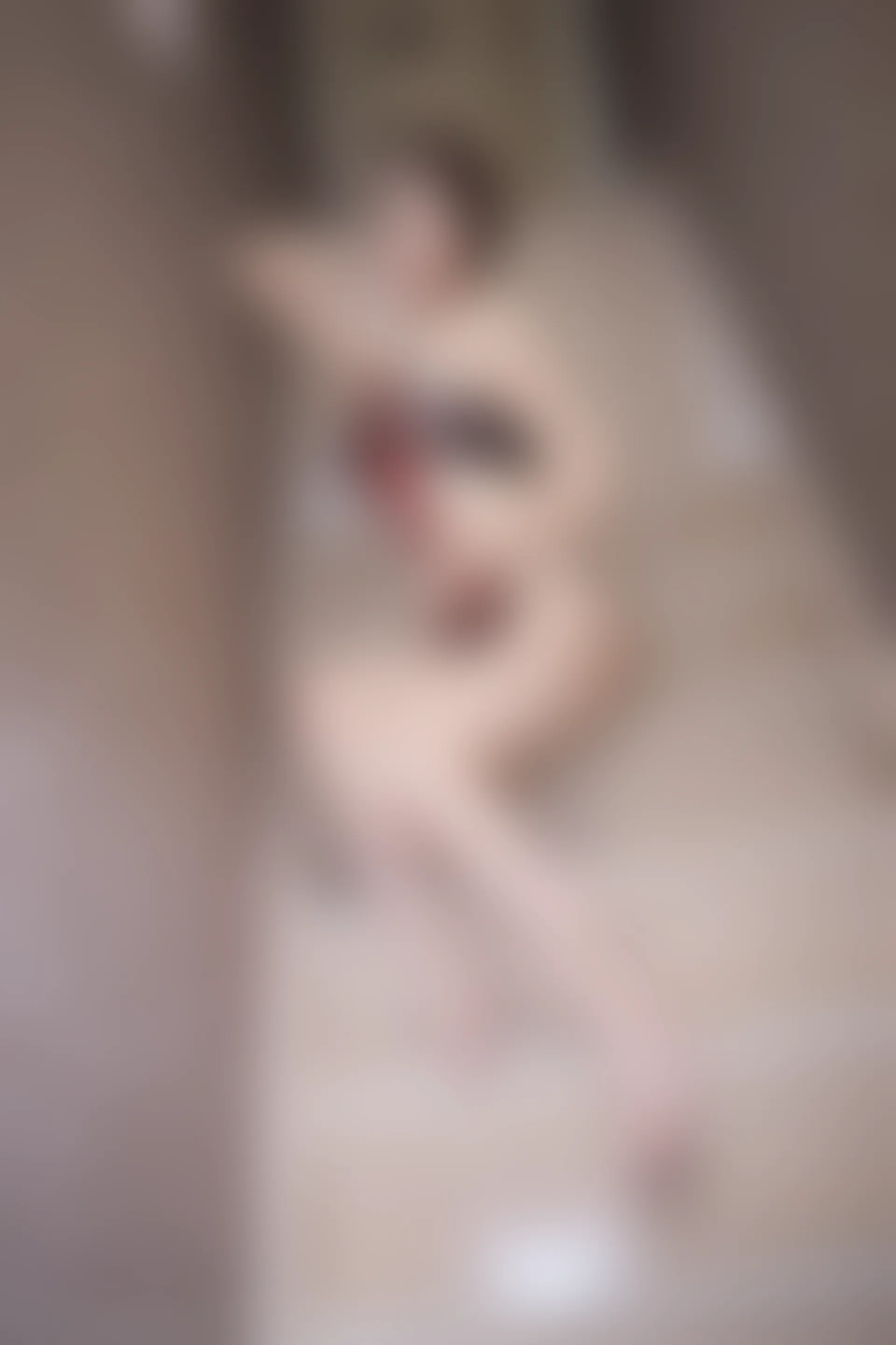 XiuRen秀人网 2015.12.19 No.443 FoxYini孟狐狸
