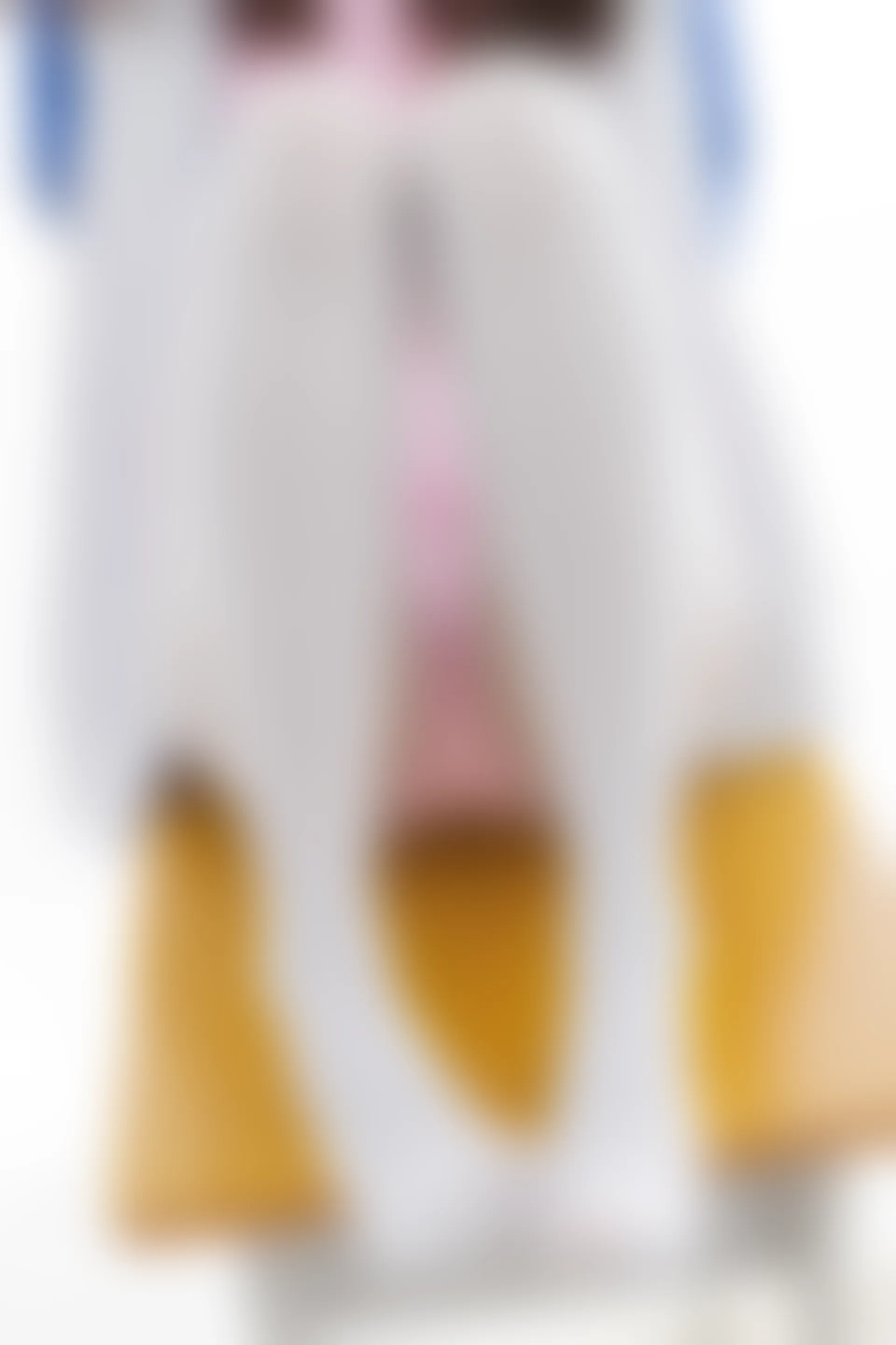 紧急企划 VOL.014 [104P1V-1.7G] 一只喵喵梓一只喵喵梓, 校服, 白丝, 紧急企划, 美腿, 美足, 芭蕾服