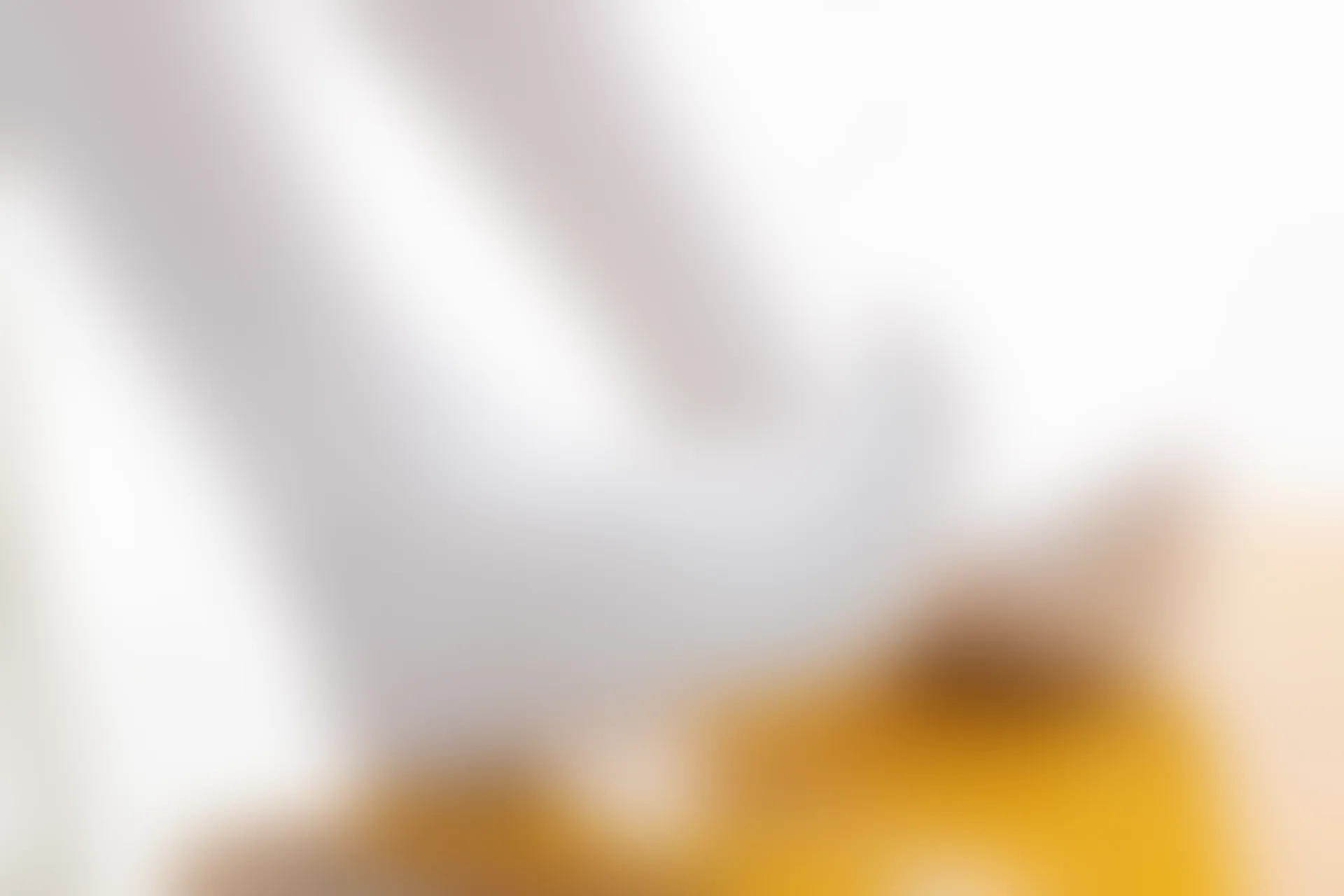 紧急企划 VOL.014 [104P1V-1.7G] 一只喵喵梓一只喵喵梓, 校服, 白丝, 紧急企划, 美腿, 美足, 芭蕾服