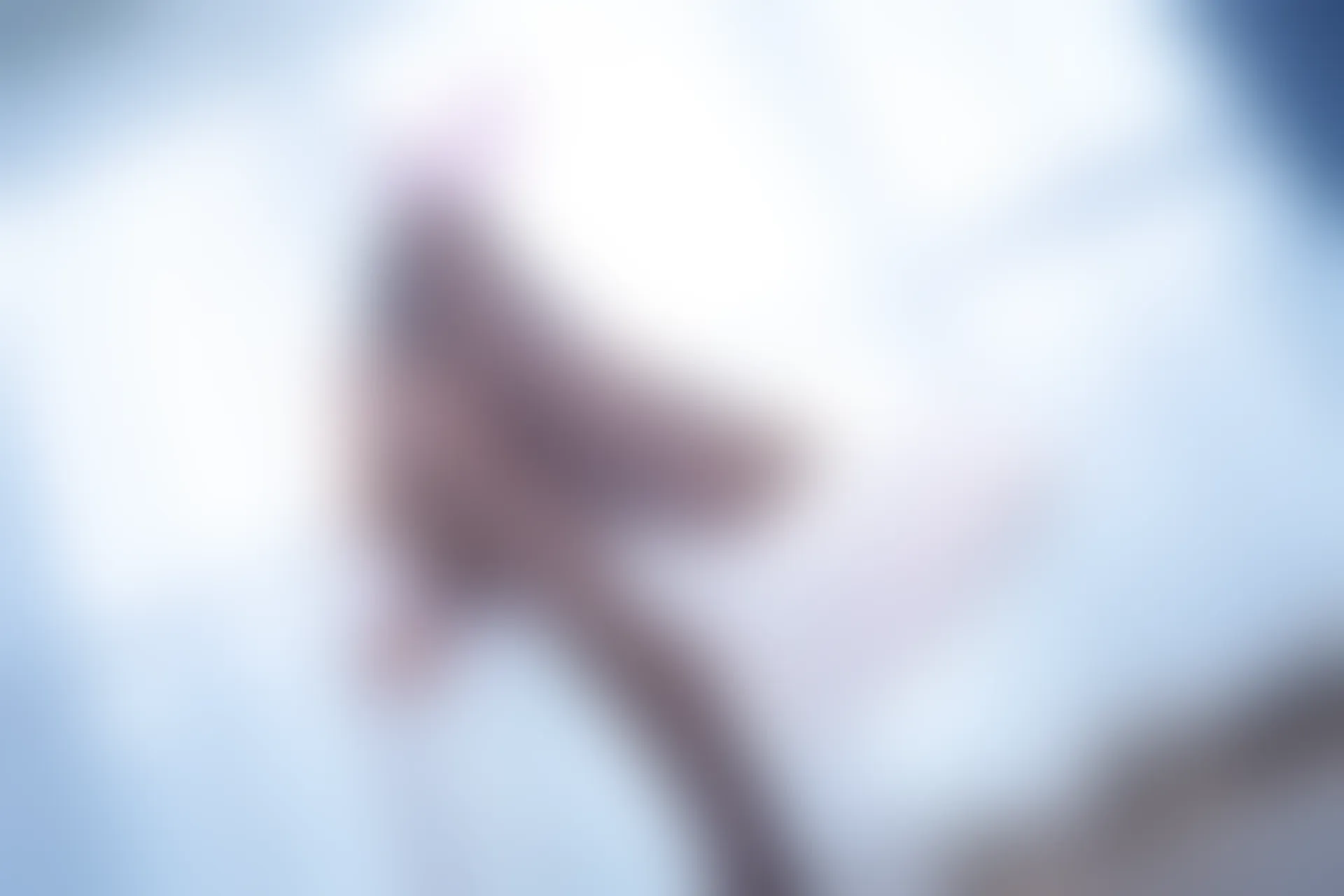 神楽坂真冬 第三季 序号33：兔女郎与钢管《バニーバブル》 [150P2V-825MB]标签：兔女郎, 内衣, 双马尾, 白丝, 神楽坂真冬, 美腿, 美足, 高跟鞋, 黑丝