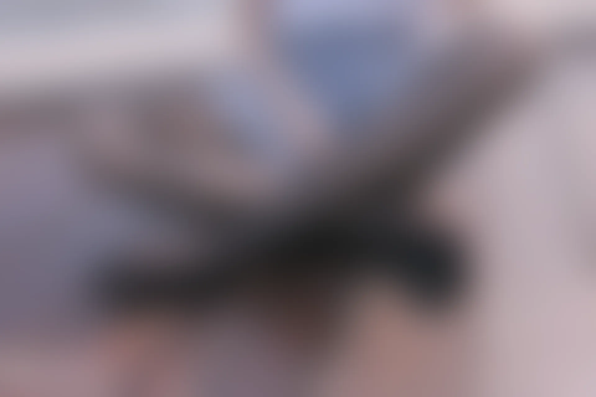 C00.003 河边的黑丝 [42P-89MB]