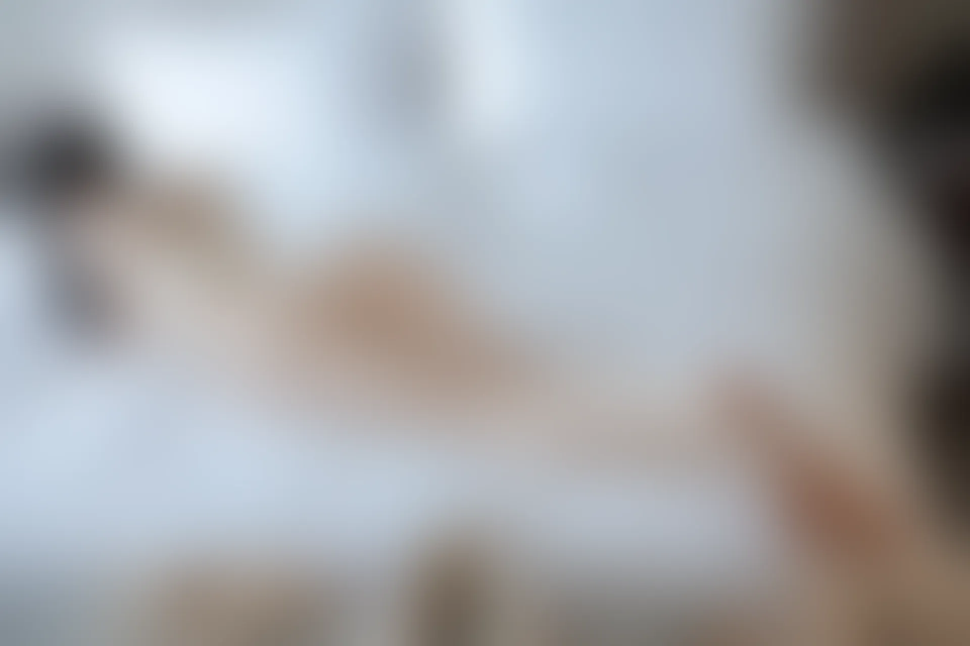 XIUREN秀人网 2023.07.27 NO.7147 林星阑[83+1P／605MB]