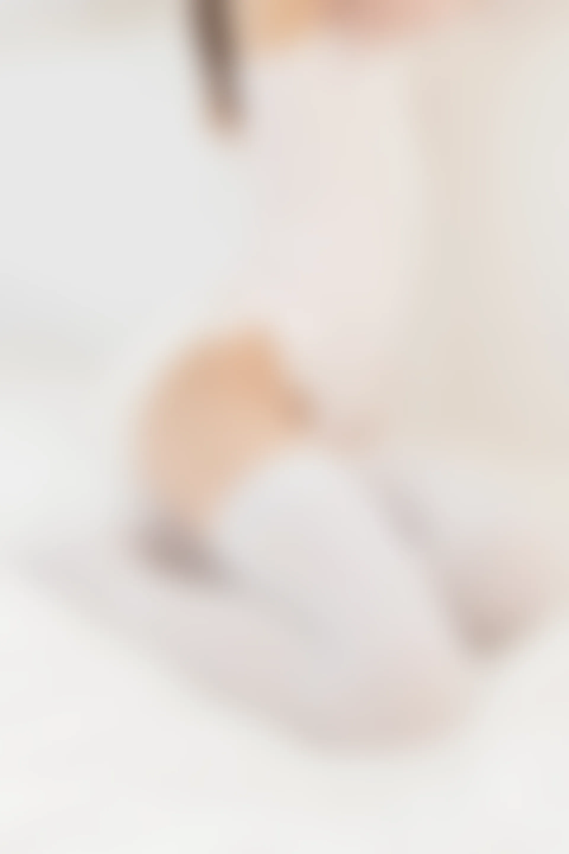 紧急企划 内部-003 一只喵喵梓