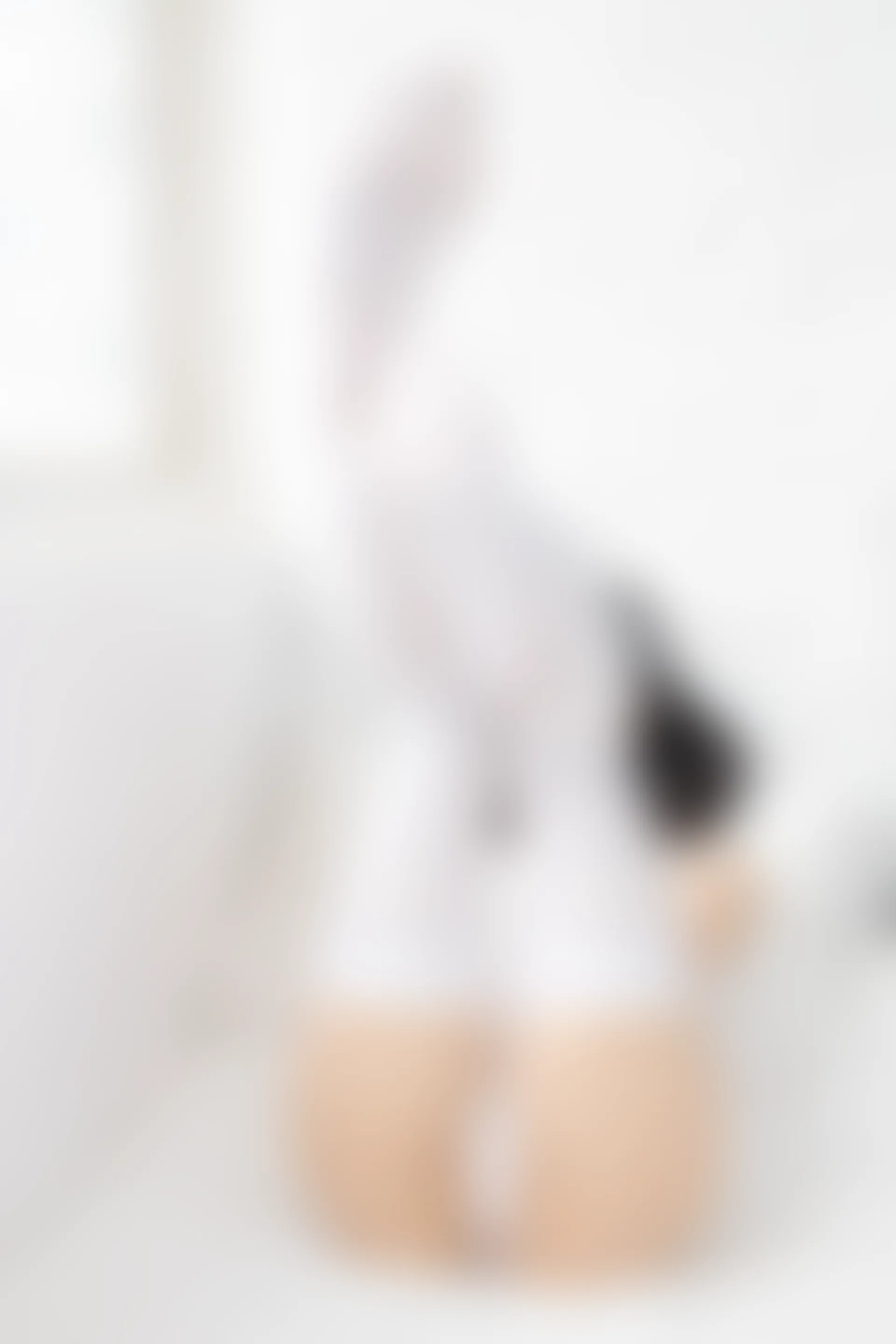 紧急企划 内部-003 一只喵喵梓 白丝蕾丝女仆装 [88P1V-4.69GB]一只喵喵梓, 女仆, 白丝, 紧急企划, 美腿, 美足