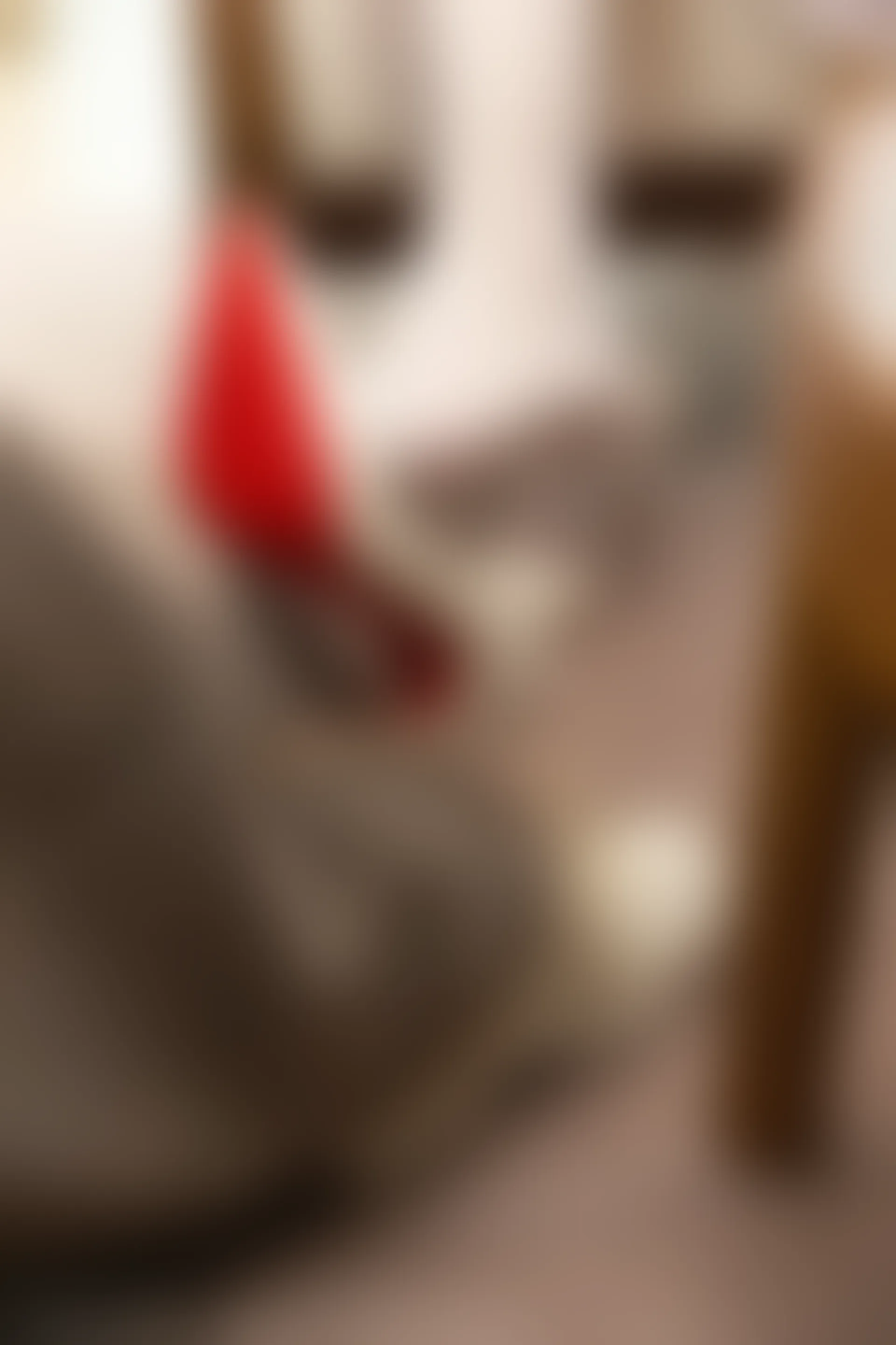 XiuRen秀人网 2021.11.12 No.4209 模特合集 护士制服[91+1P 827MB]