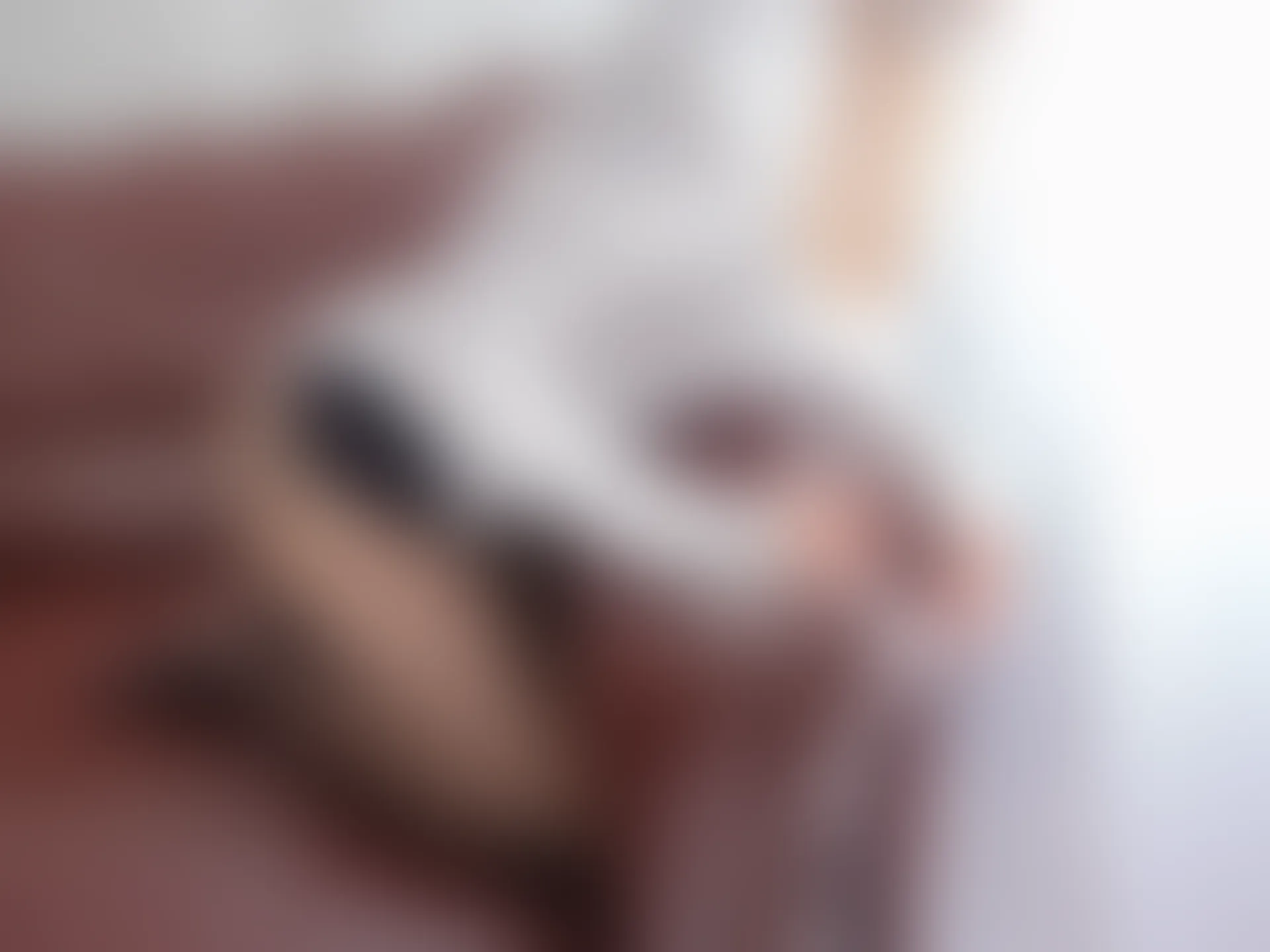 紧急企划 内部-005 黑丝连体衣 [122P-4.11GB]紧急企划, 美腿, 美足, 连体衣, 黑丝